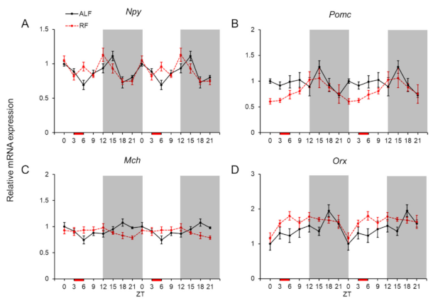 Ijms 22 02109 g003 Ijms 22 02109 g003