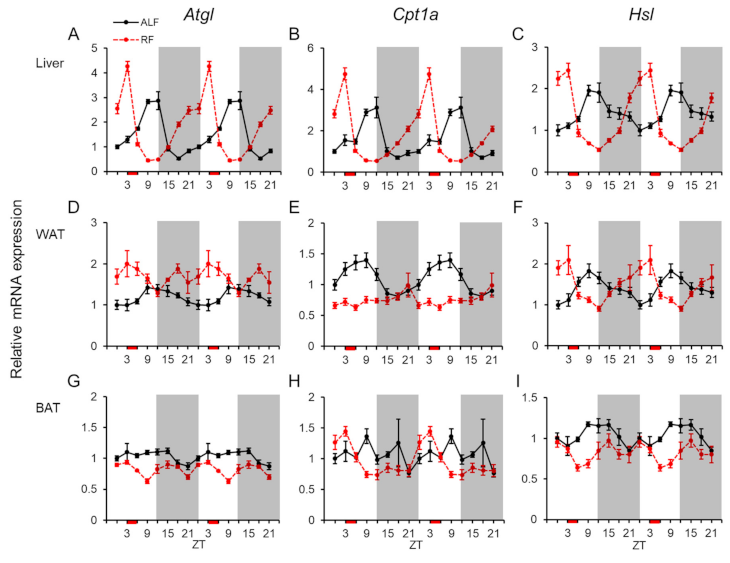 Ijms 22 02109 g005 Ijms 22 02109 g005