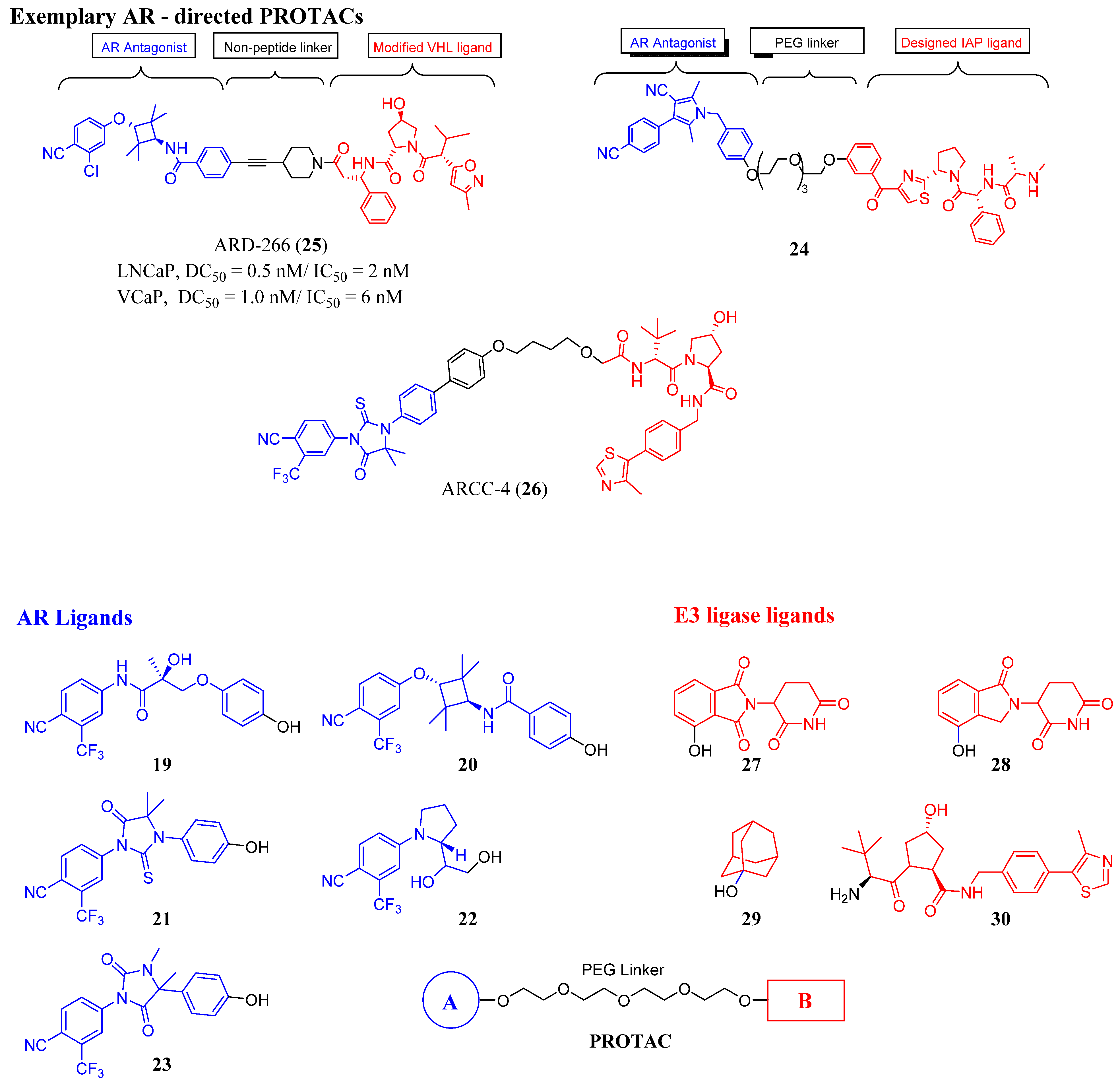 Ijms 22 02124 g004 Ijms 22 02124 g004
