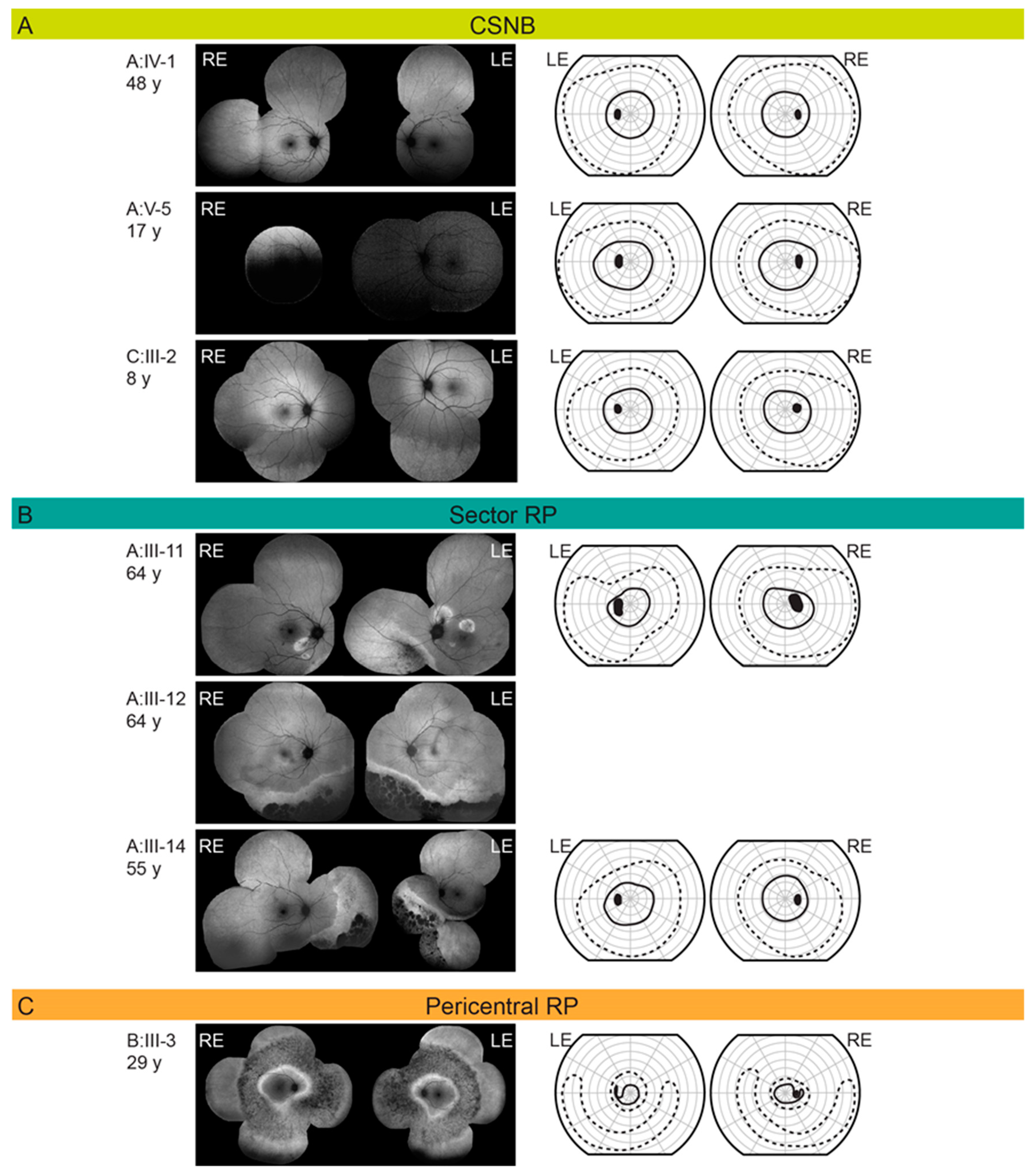 Ijms 22 02133 g004 Ijms 22 02133 g004