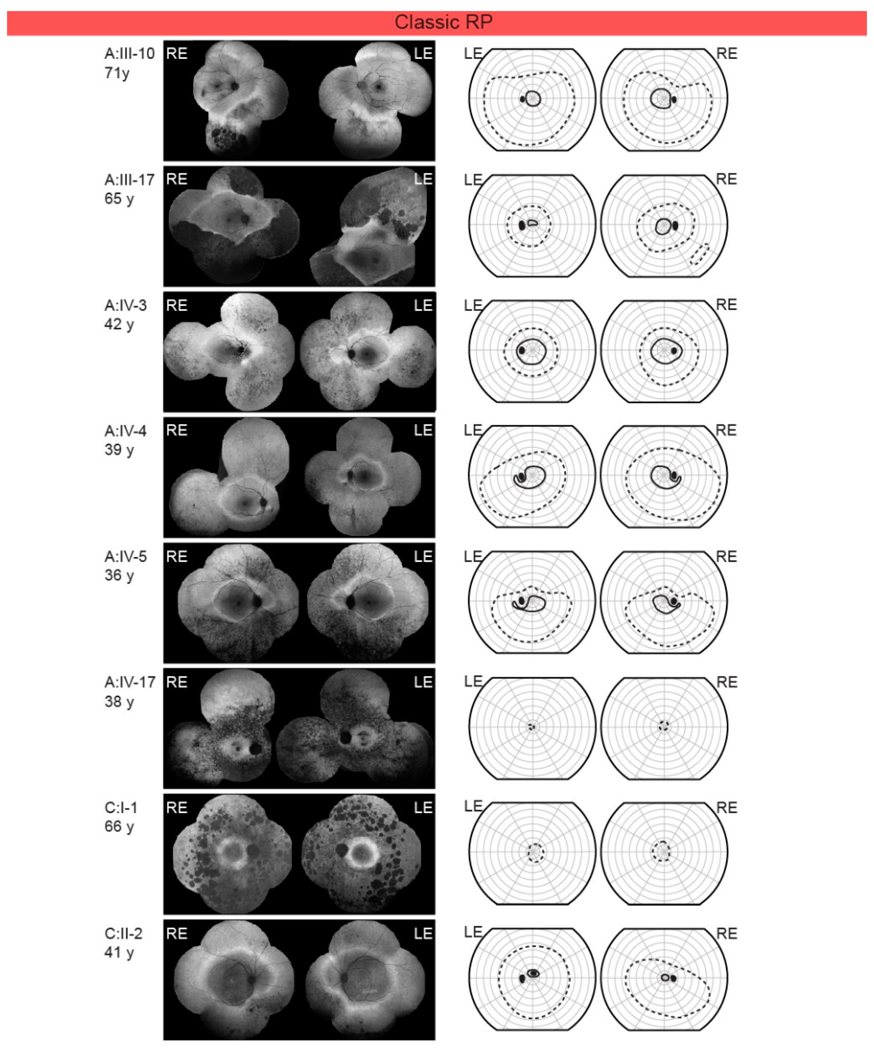 Ijms 22 02133 g005 Ijms 22 02133 g005