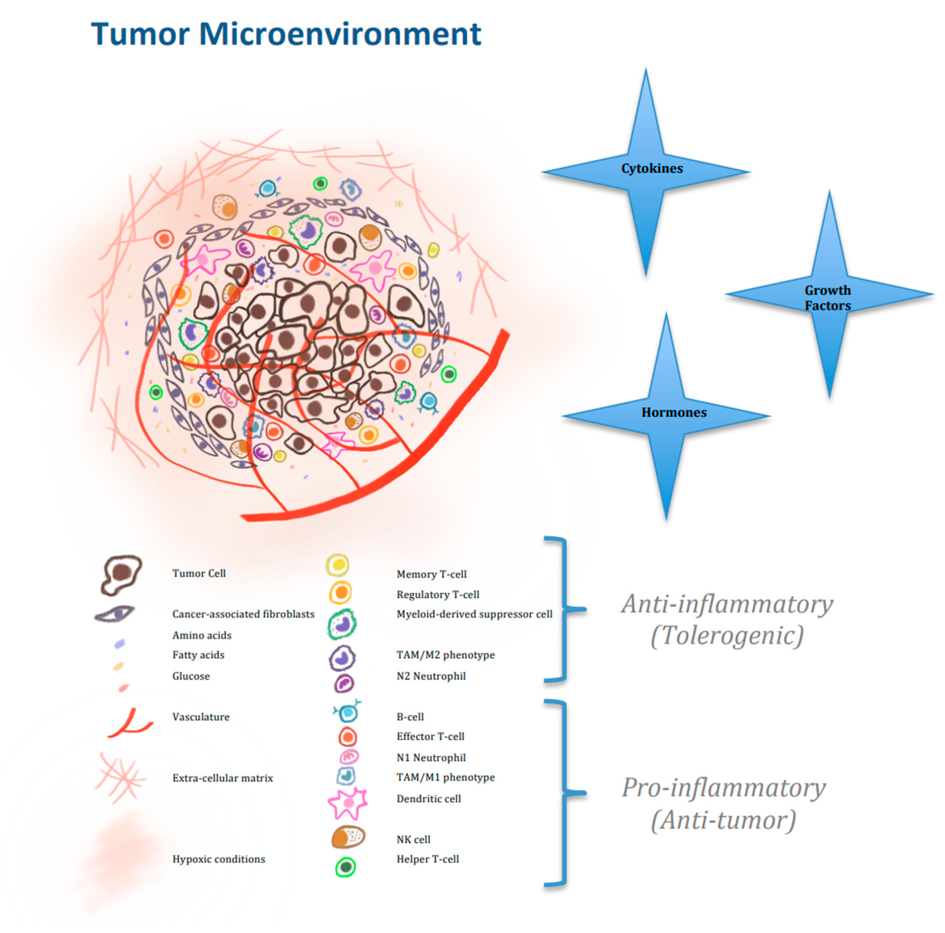 Ijms Free Full Text Metabolic Factors Affecting Tumor Immunogenicity What Is Happening At The Cellular Level Html