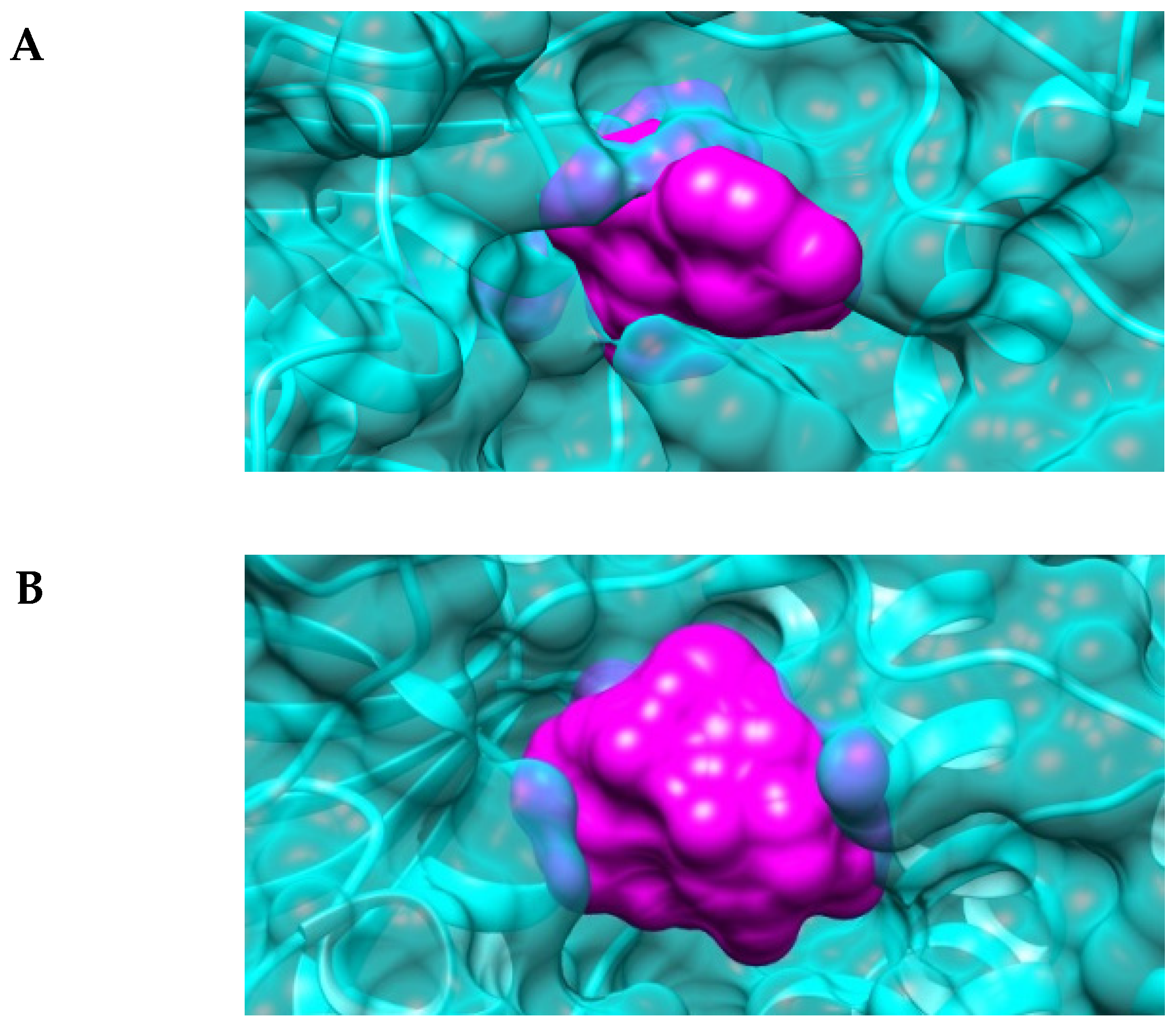 Ijms 22 02164 g006 Ijms 22 02164 g006