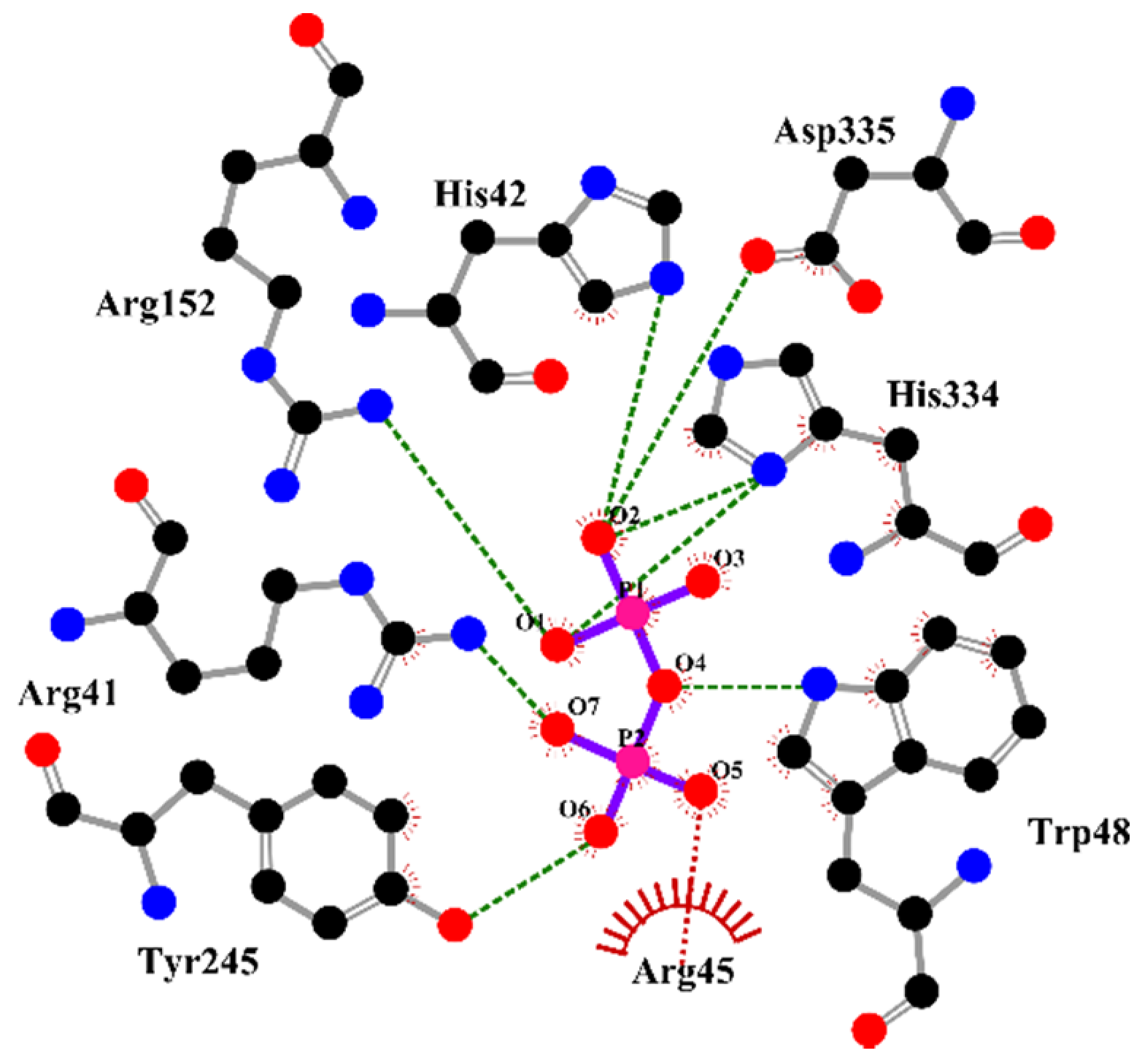 Ijms 22 02164 g007 Ijms 22 02164 g007