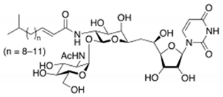 Ijms 22 02166 i001 Ijms 22 02166 i001