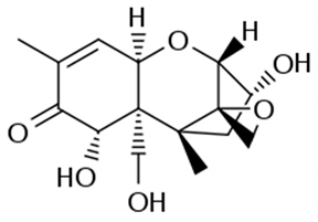 Ijms 22 02166 i006 Ijms 22 02166 i006