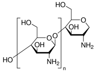 Ijms 22 02166 i014 Ijms 22 02166 i014