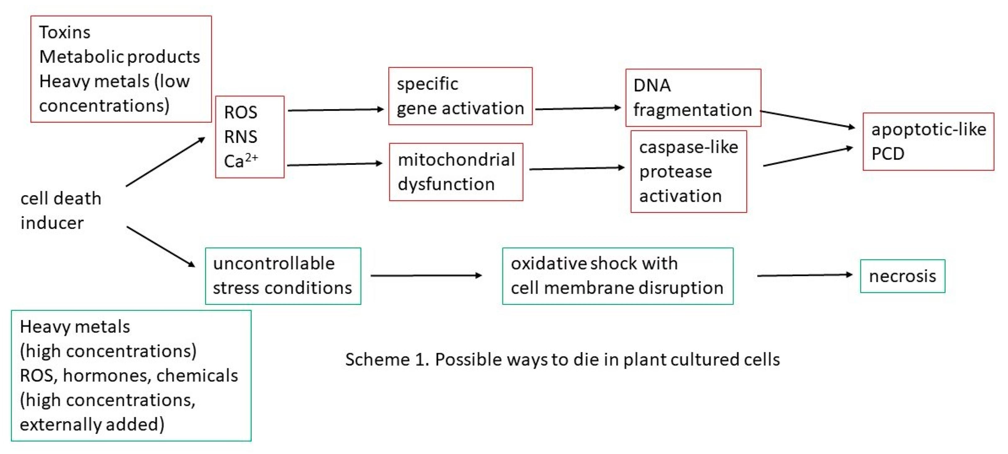 Ijms 22 02166 sch001 Ijms 22 02166 sch001