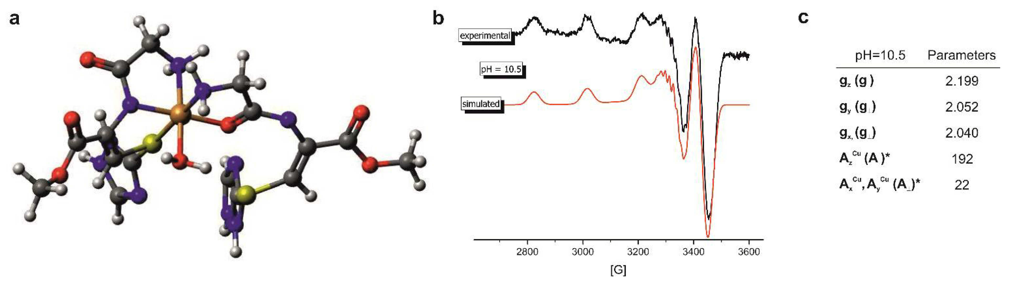 Ijms 22 02168 g004 Ijms 22 02168 g004