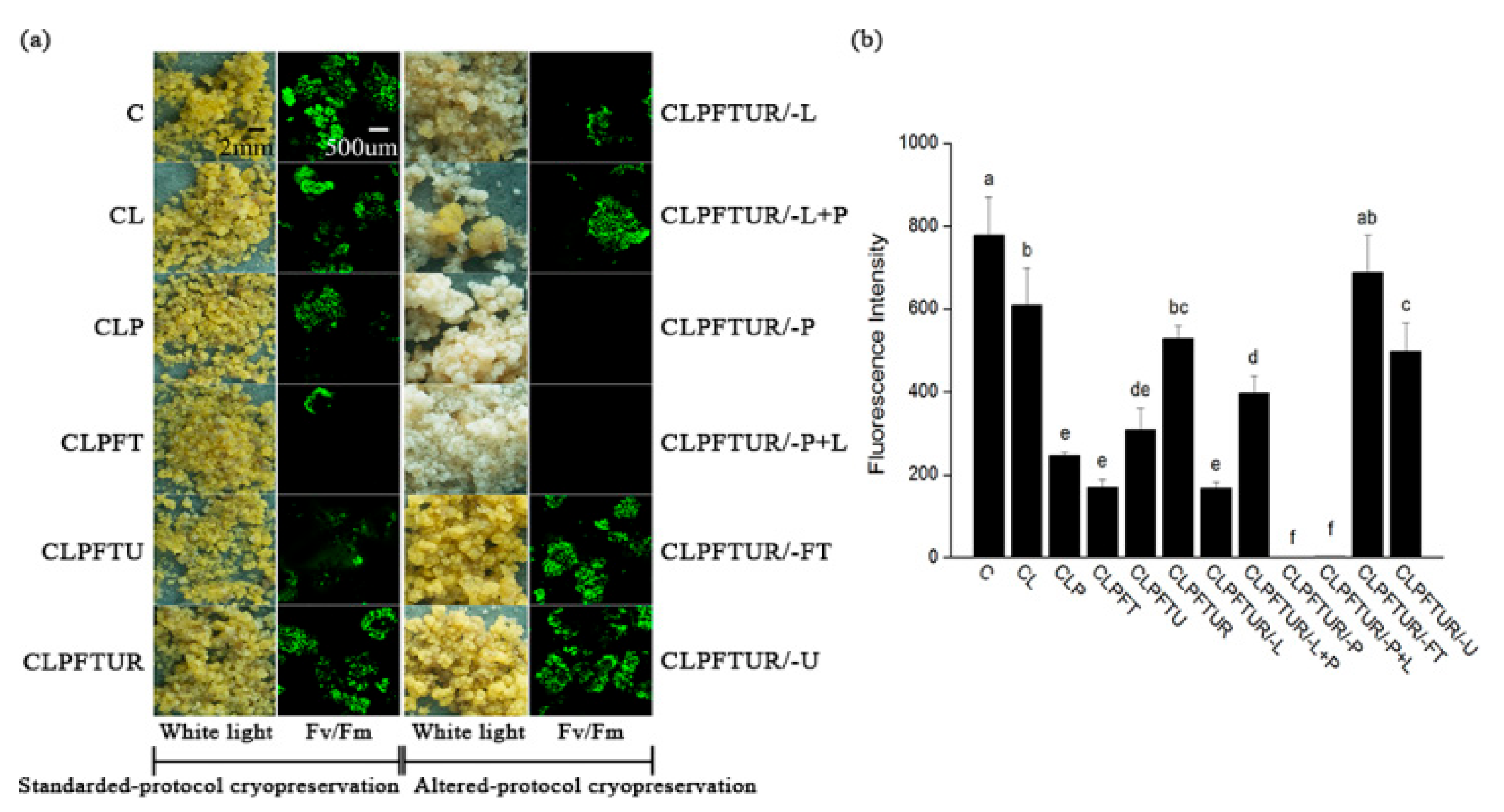 Ijms 22 02174 g002 Ijms 22 02174 g002