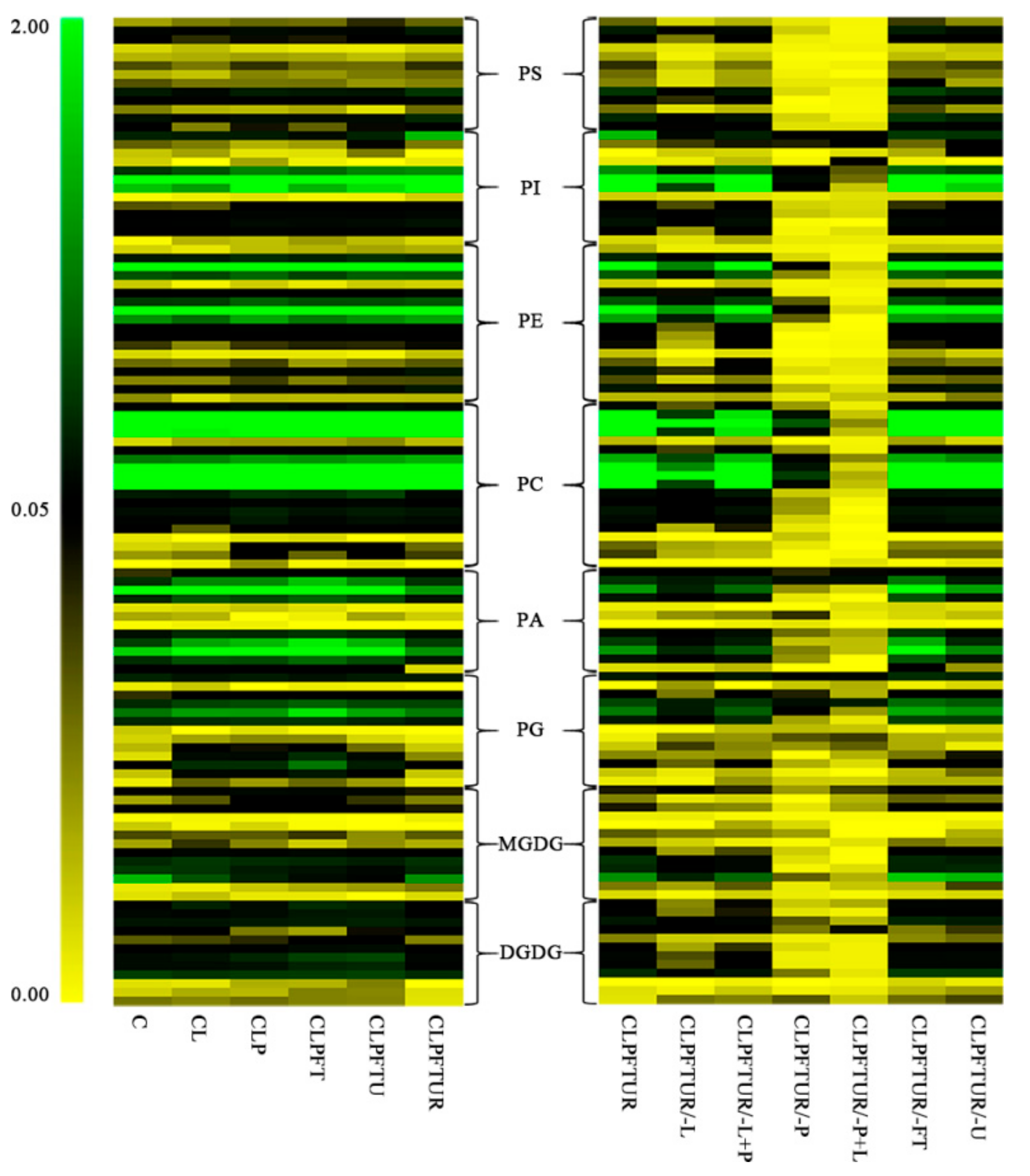 Ijms 22 02174 g003 Ijms 22 02174 g003