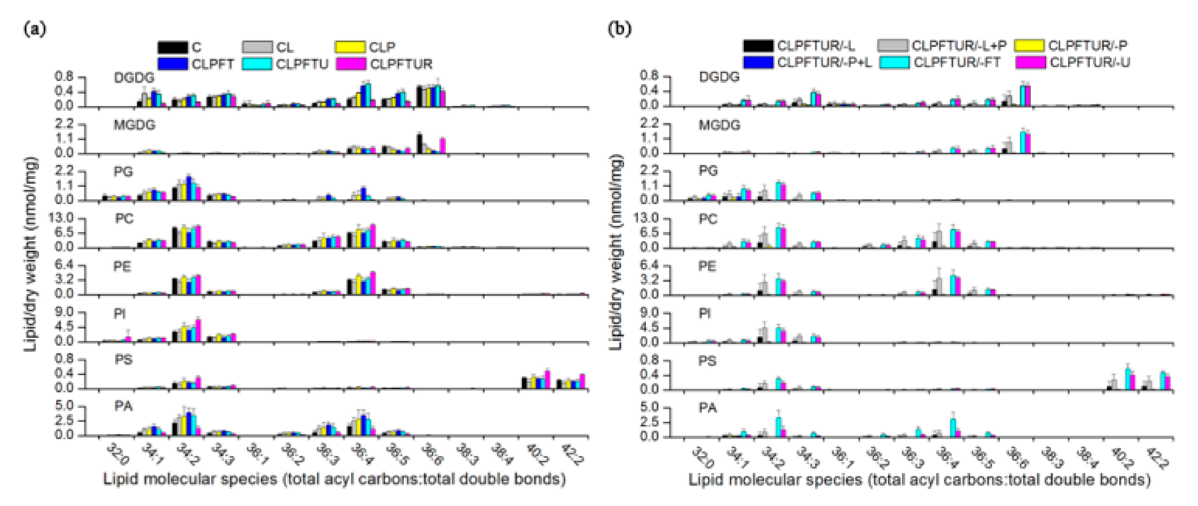 Ijms 22 02174 g006 Ijms 22 02174 g006