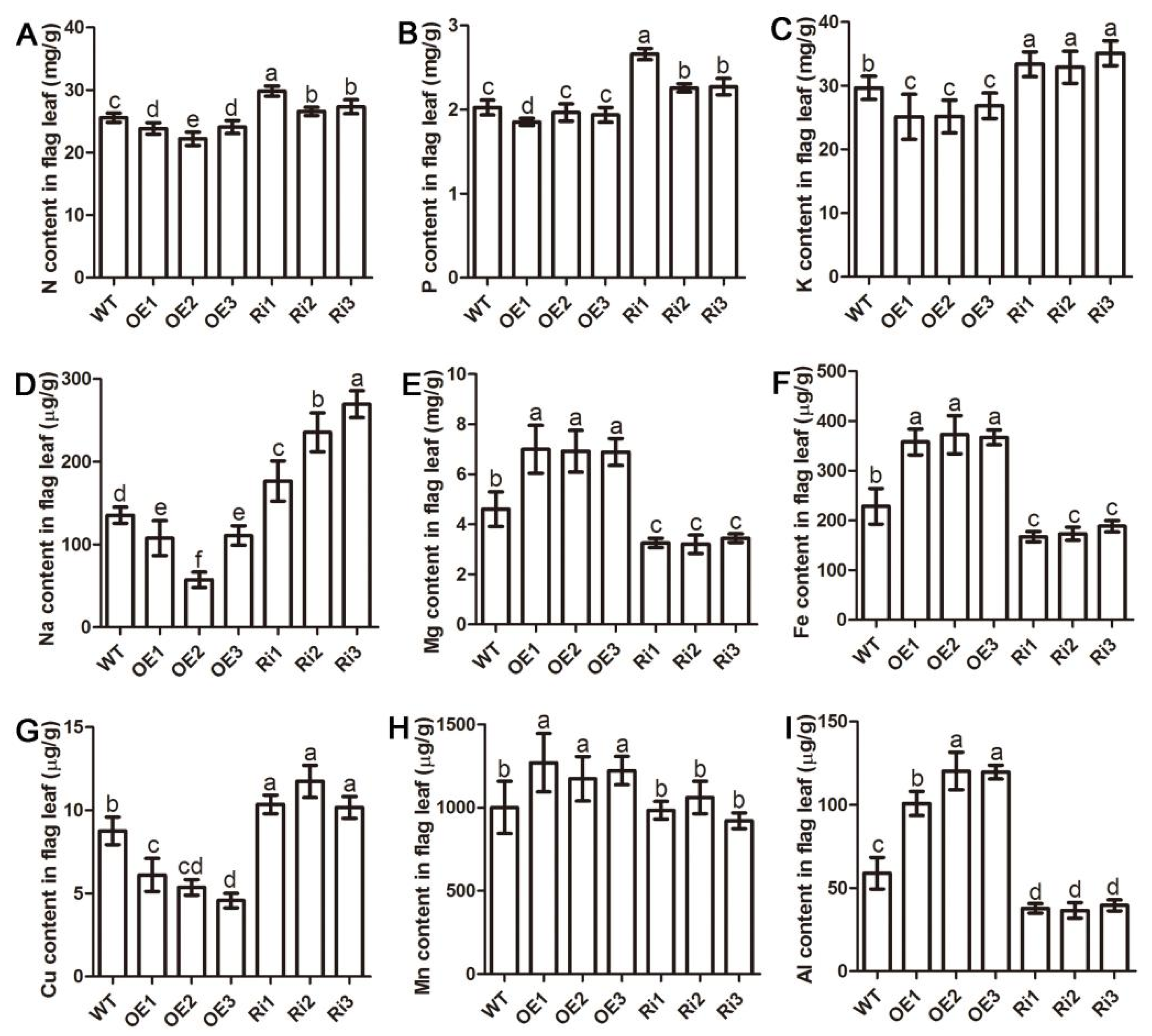 Ijms 22 02181 g006 Ijms 22 02181 g006