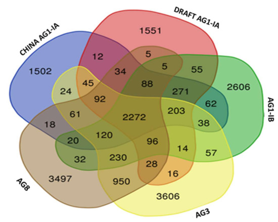IJMS  Free Full-Text  Comparative Genomics: Insights on the 