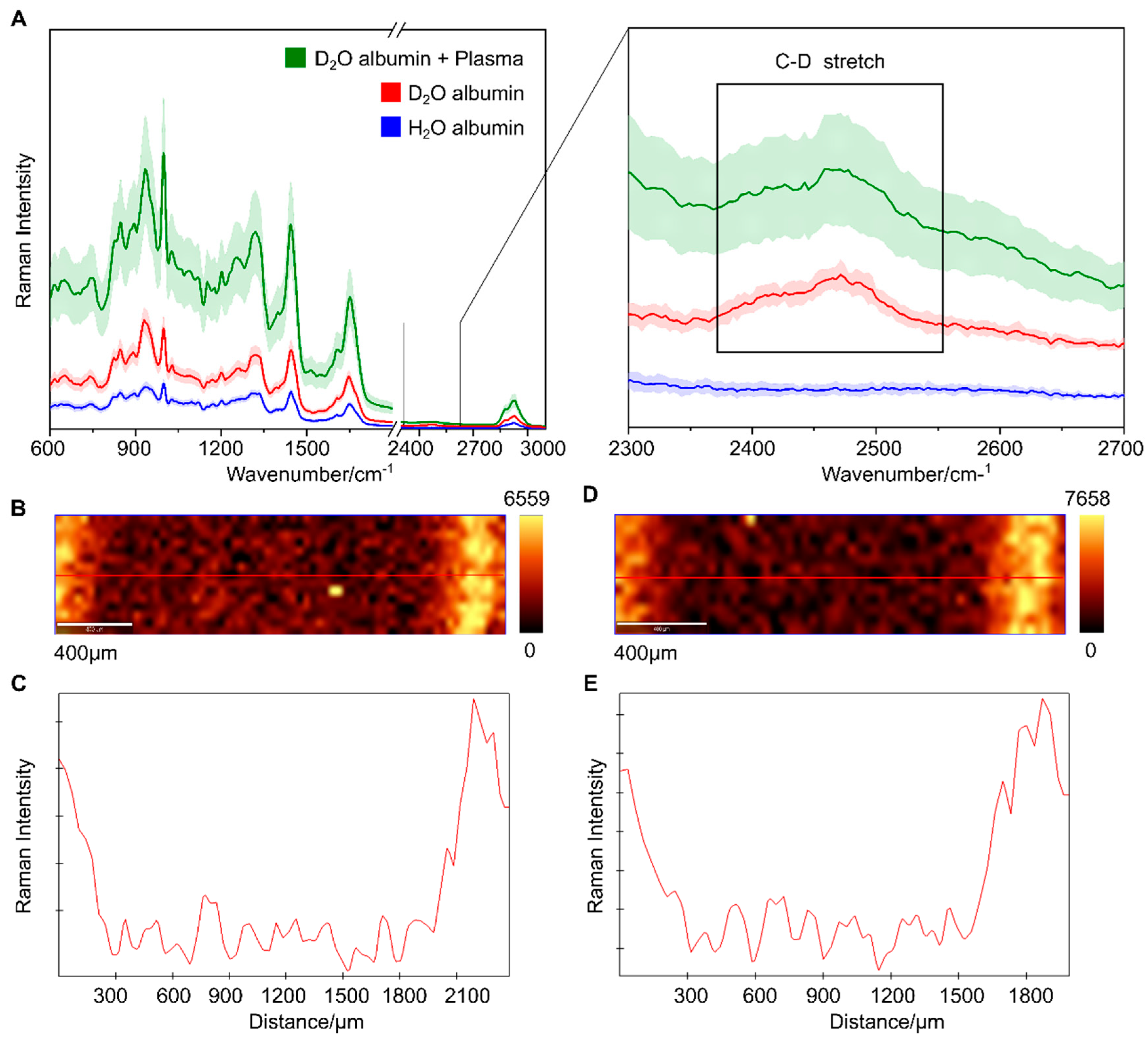 Ijms 22 02191 g002 Ijms 22 02191 g002
