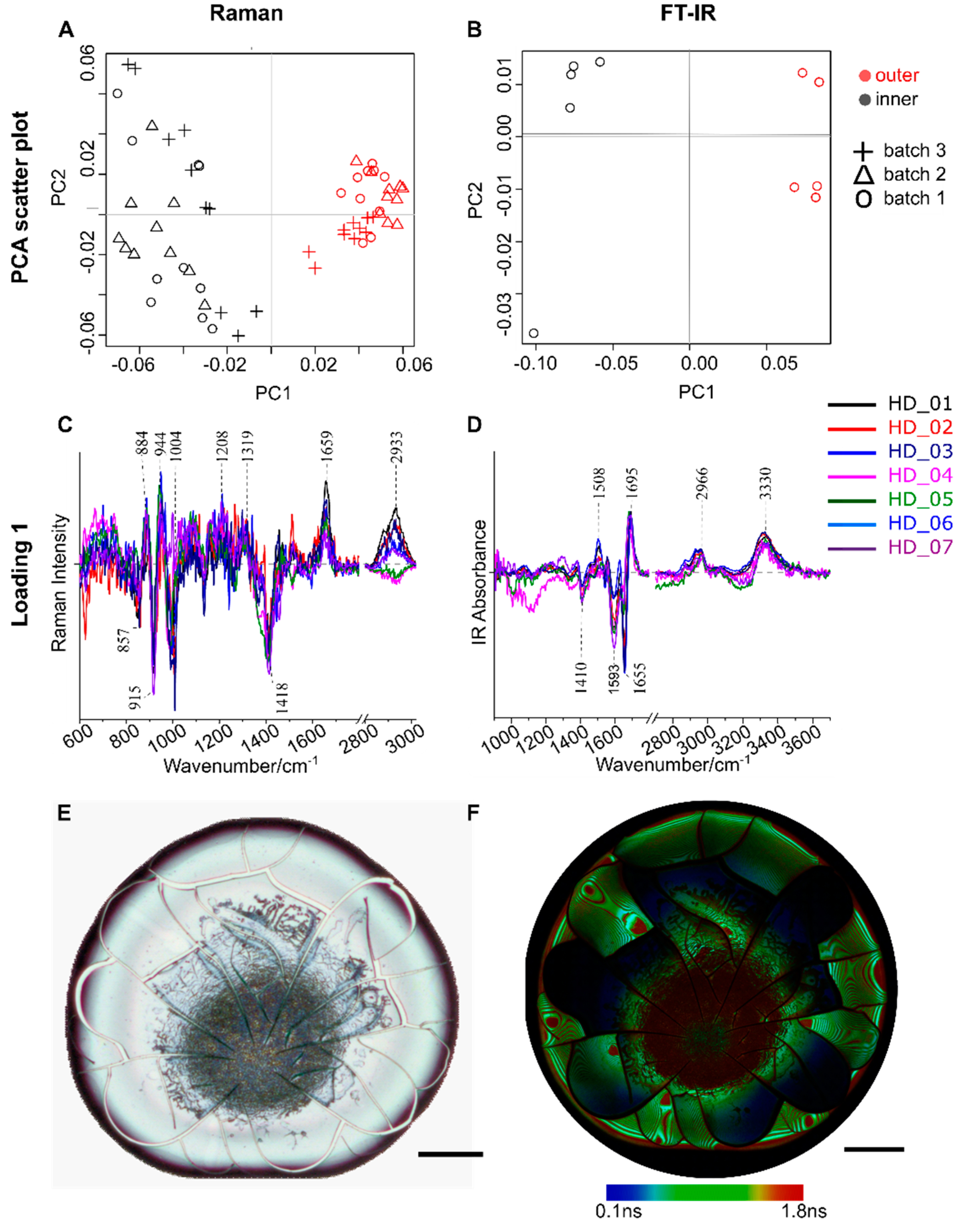 Ijms 22 02191 g003 Ijms 22 02191 g003