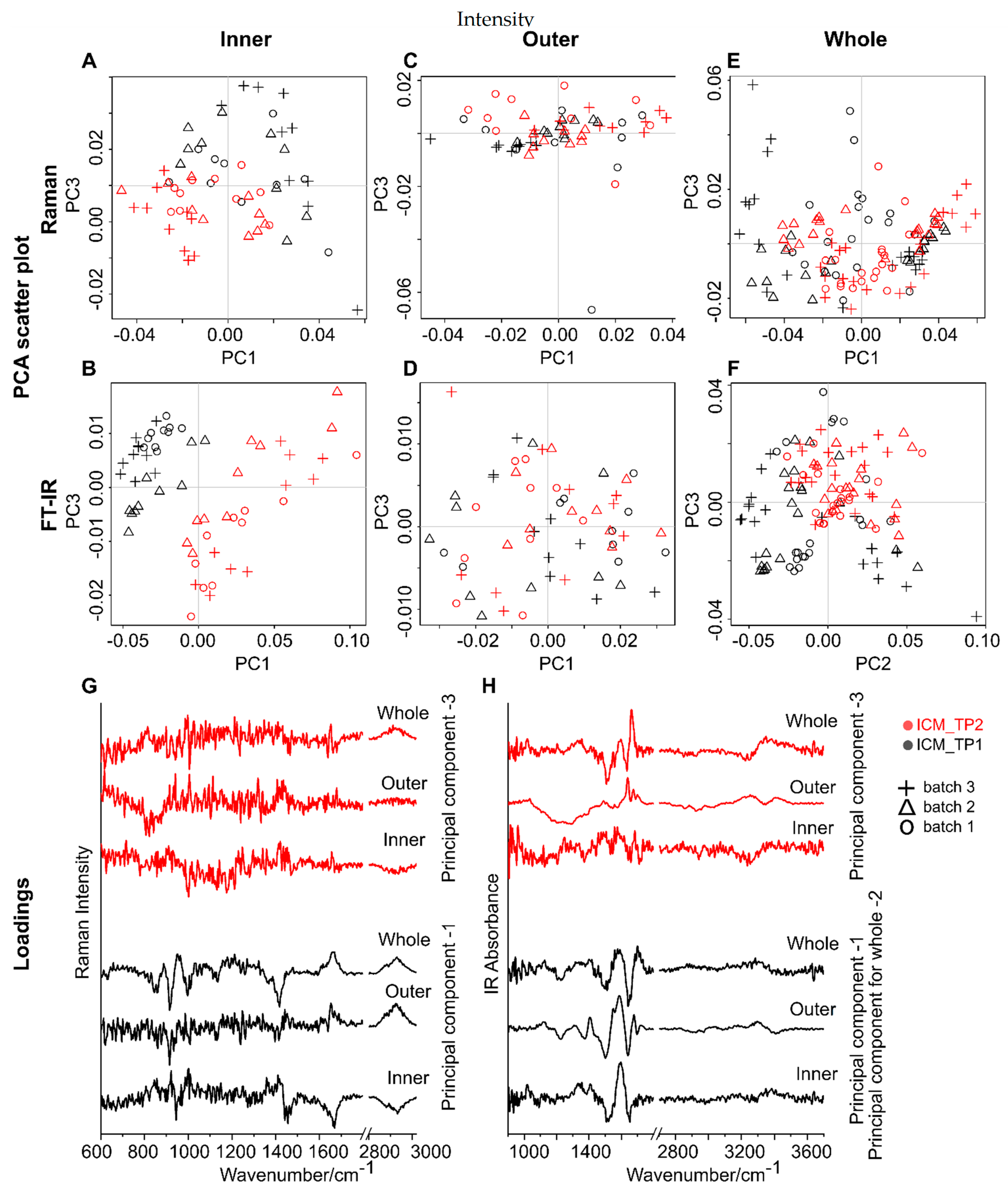 Ijms 22 02191 g005 Ijms 22 02191 g005