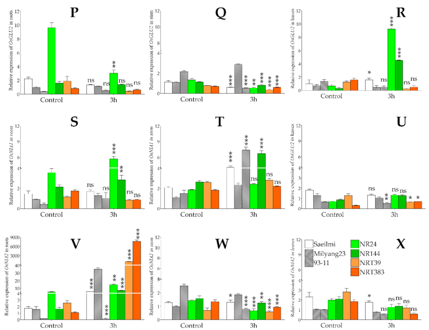 Ijms 22 02192 g006b Ijms 22 02192 g006b