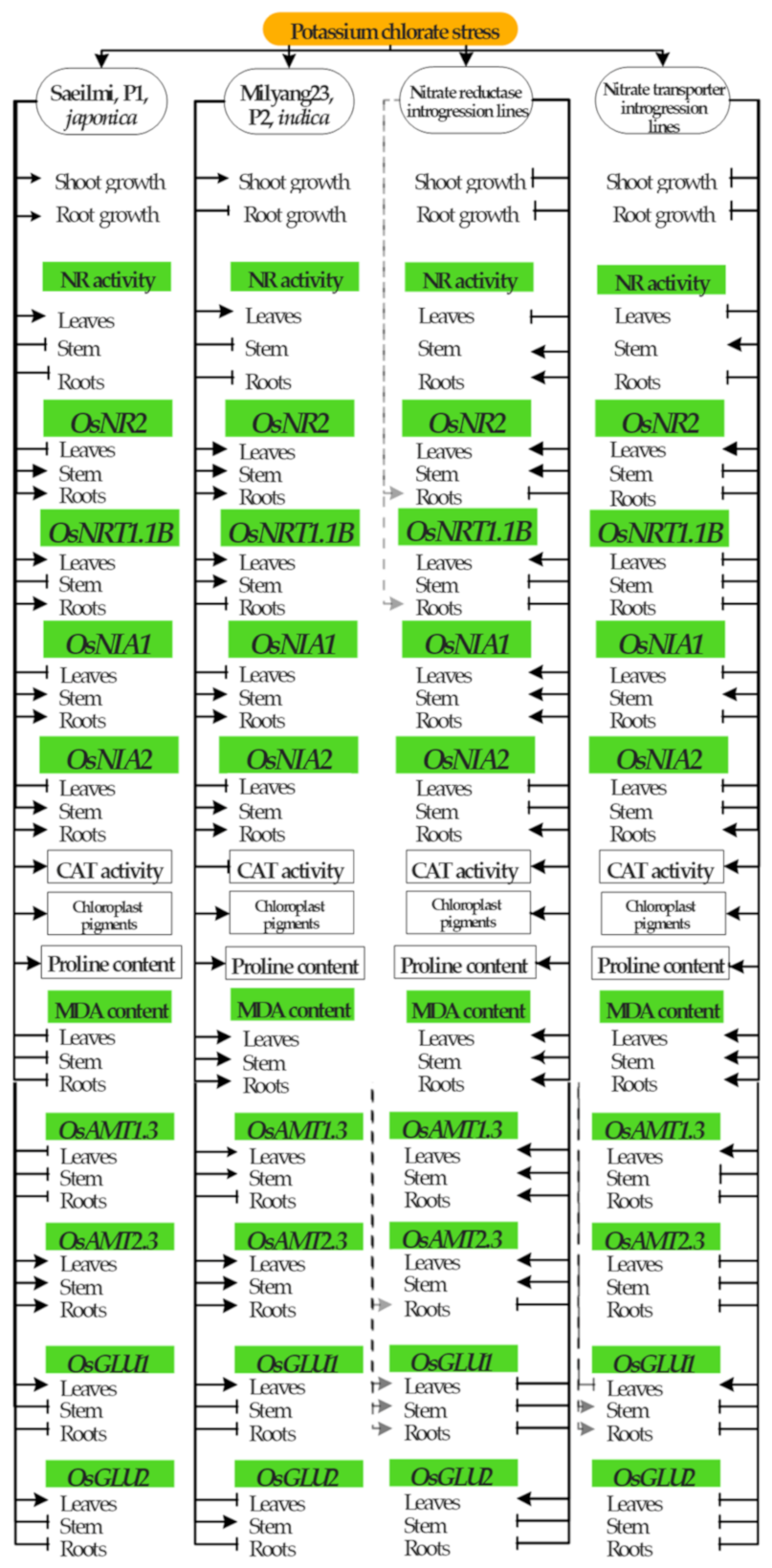 Ijms 22 02192 g007 Ijms 22 02192 g007