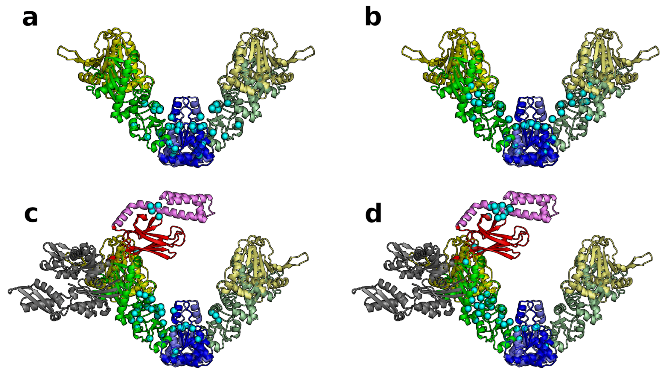 Ijms 22 02200 g008 Ijms 22 02200 g008