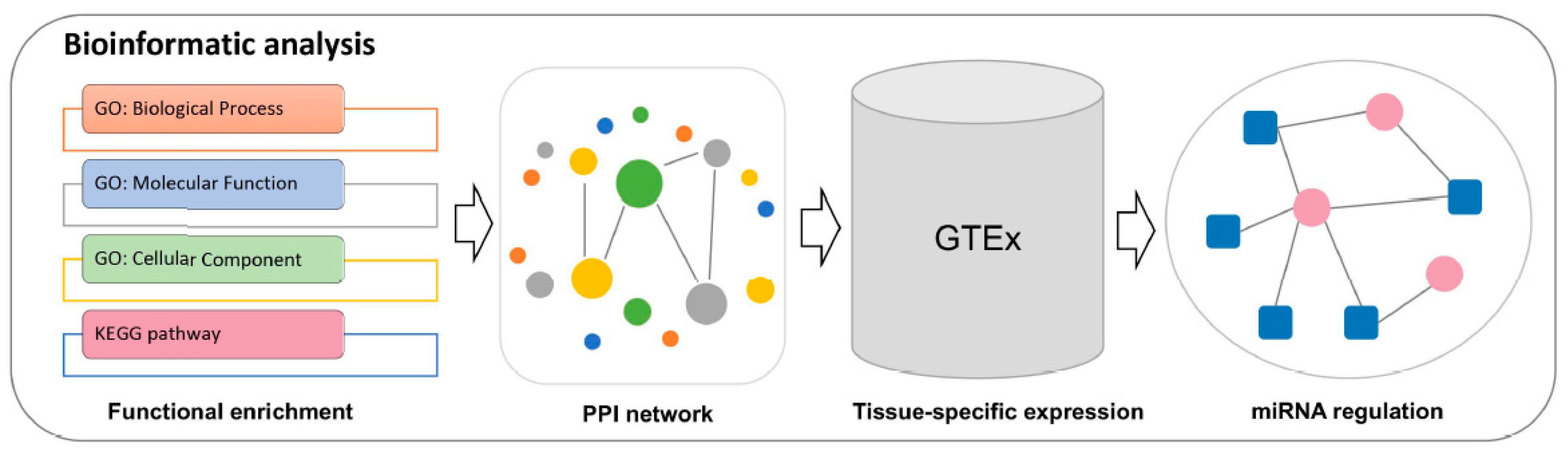Ijms 22 02202 g002 Ijms 22 02202 g002