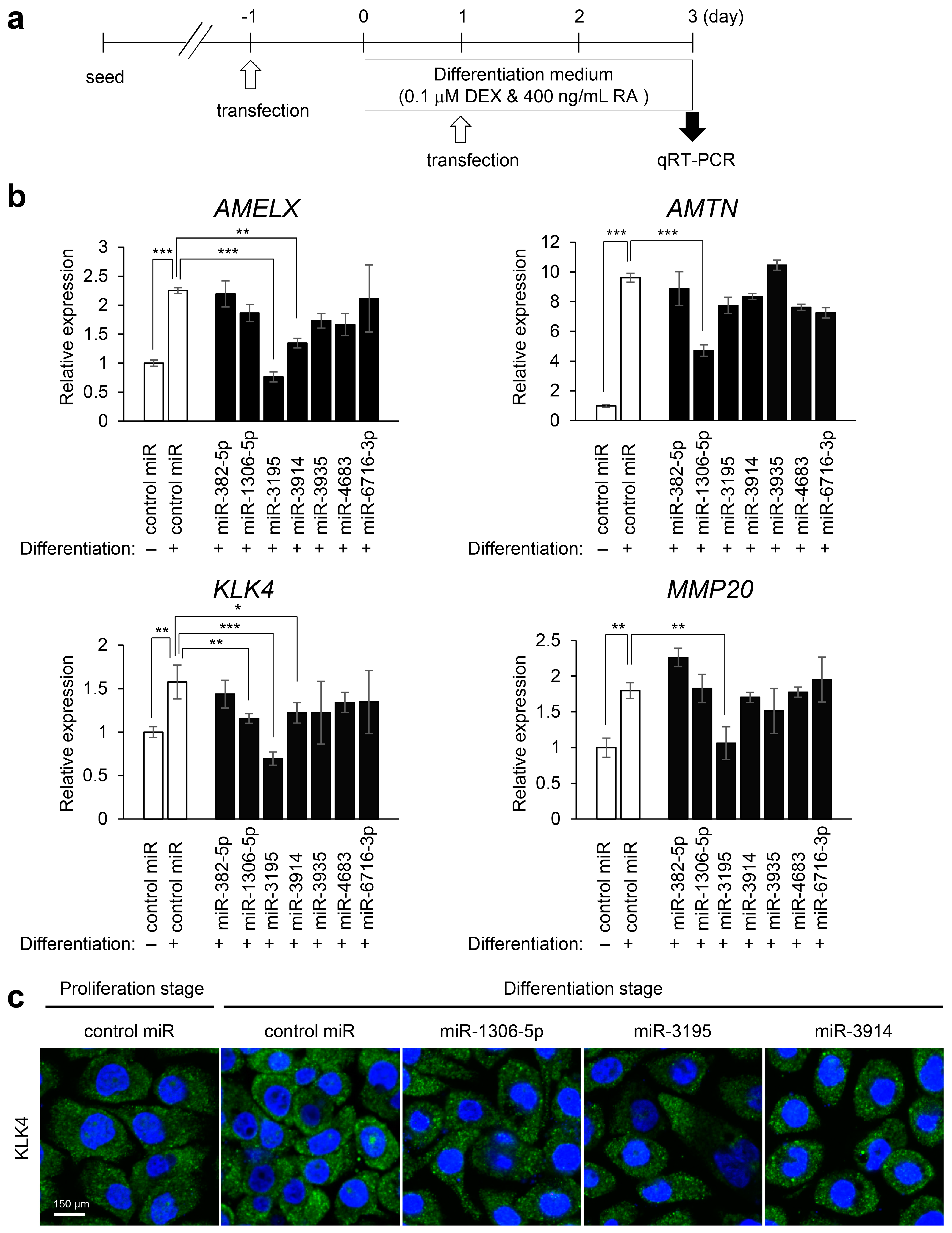 Ijms 22 02202 g006 Ijms 22 02202 g006