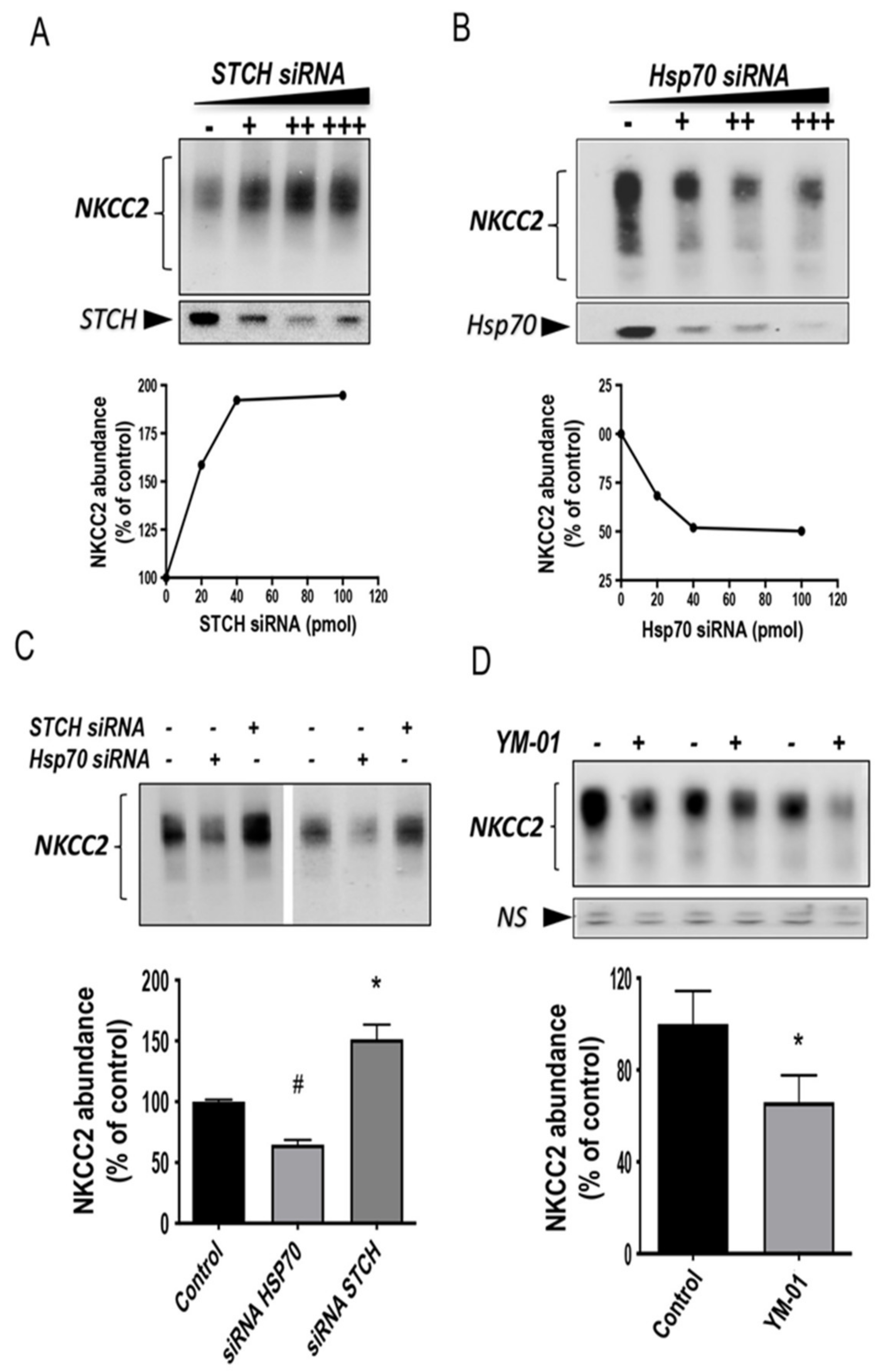 Ijms 22 02207 g008 Ijms 22 02207 g008