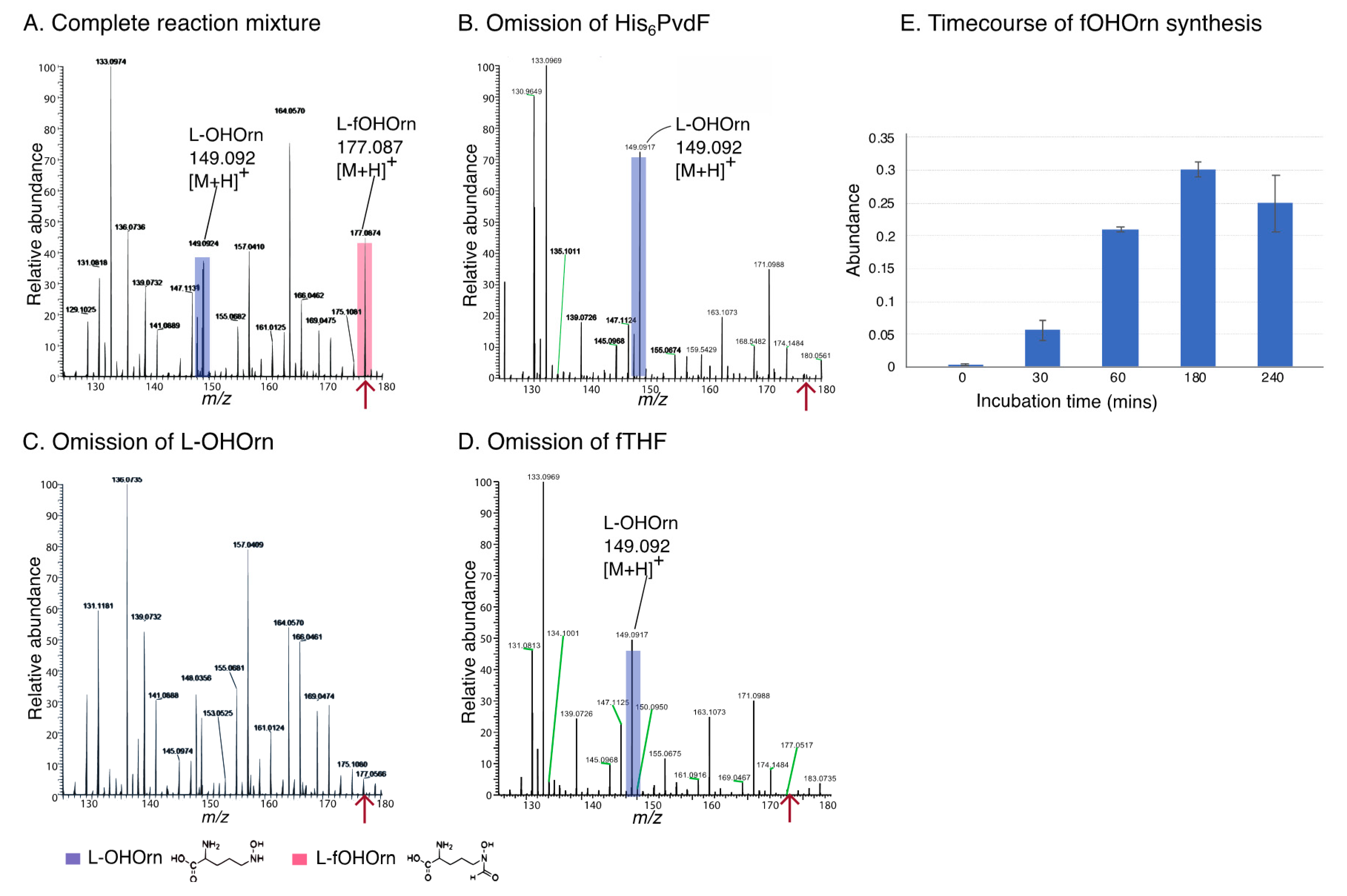 Ijms 22 02211 g002 Ijms 22 02211 g002