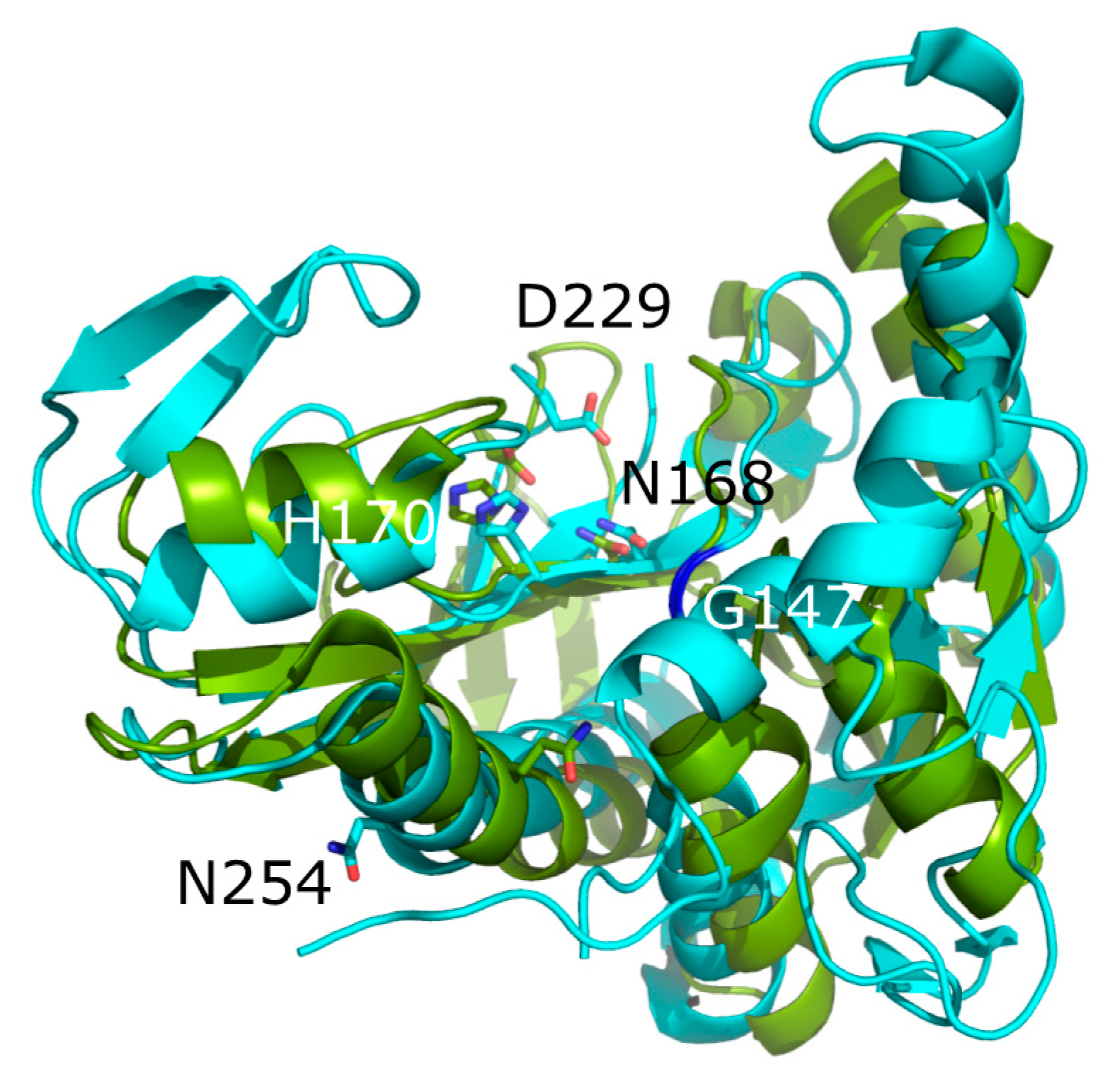 Ijms 22 02211 g003 Ijms 22 02211 g003