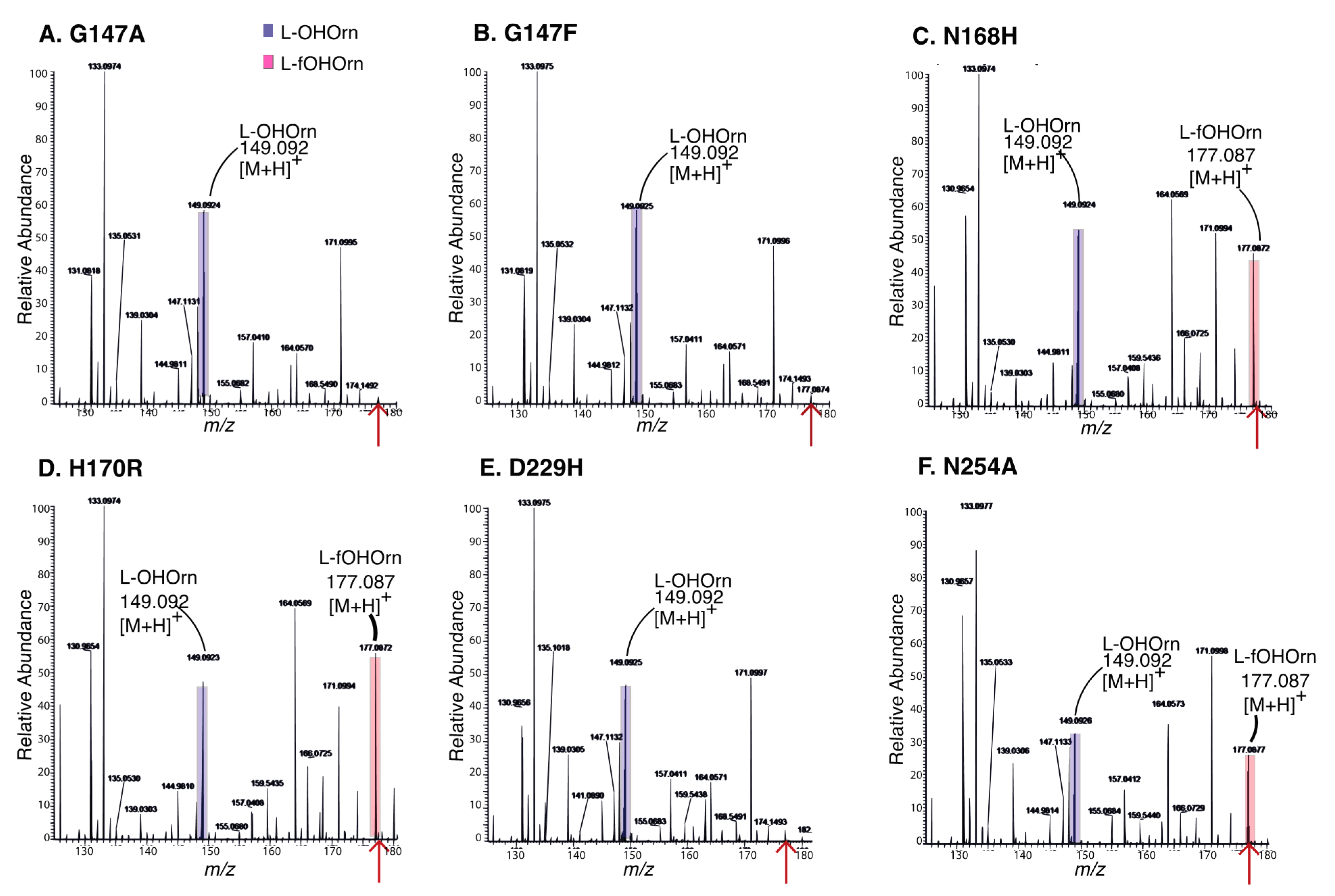 Ijms 22 02211 g005 Ijms 22 02211 g005