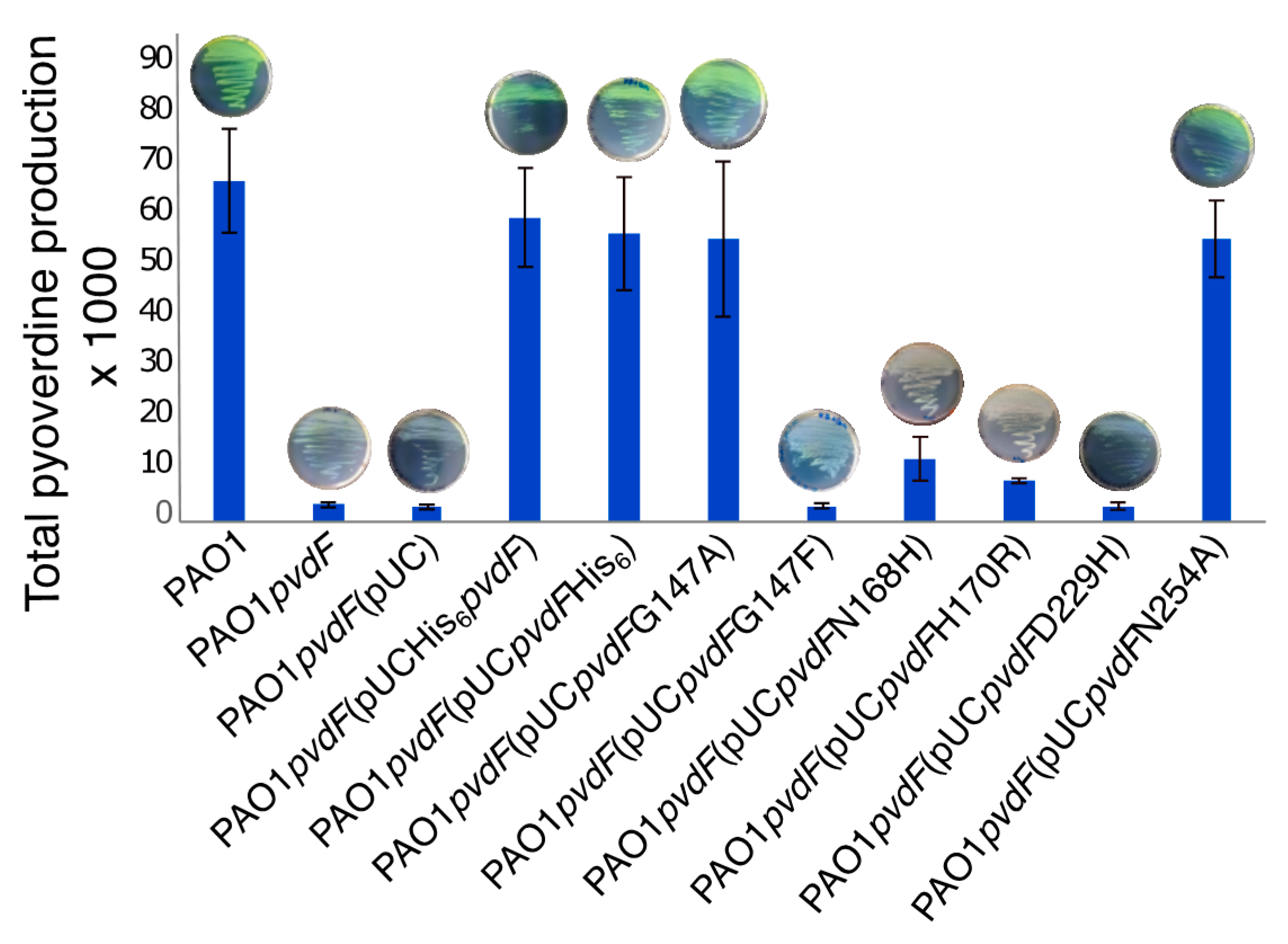 Ijms 22 02211 g006 Ijms 22 02211 g006