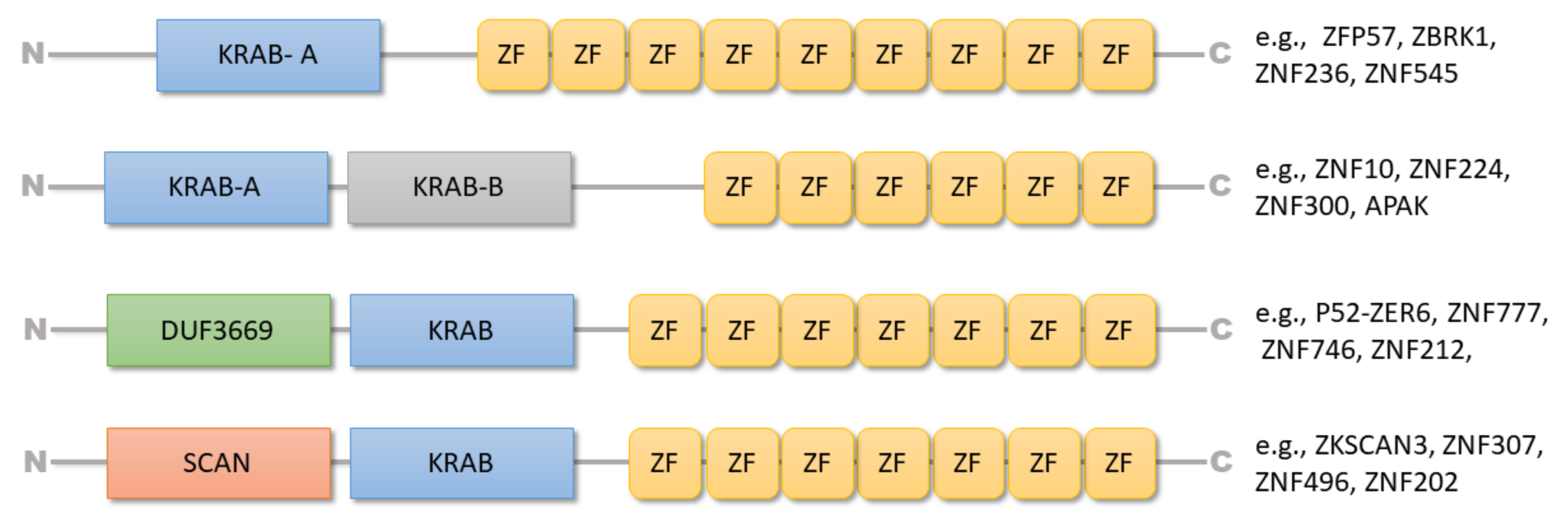 Ijms 22 02212 g001 Ijms 22 02212 g001