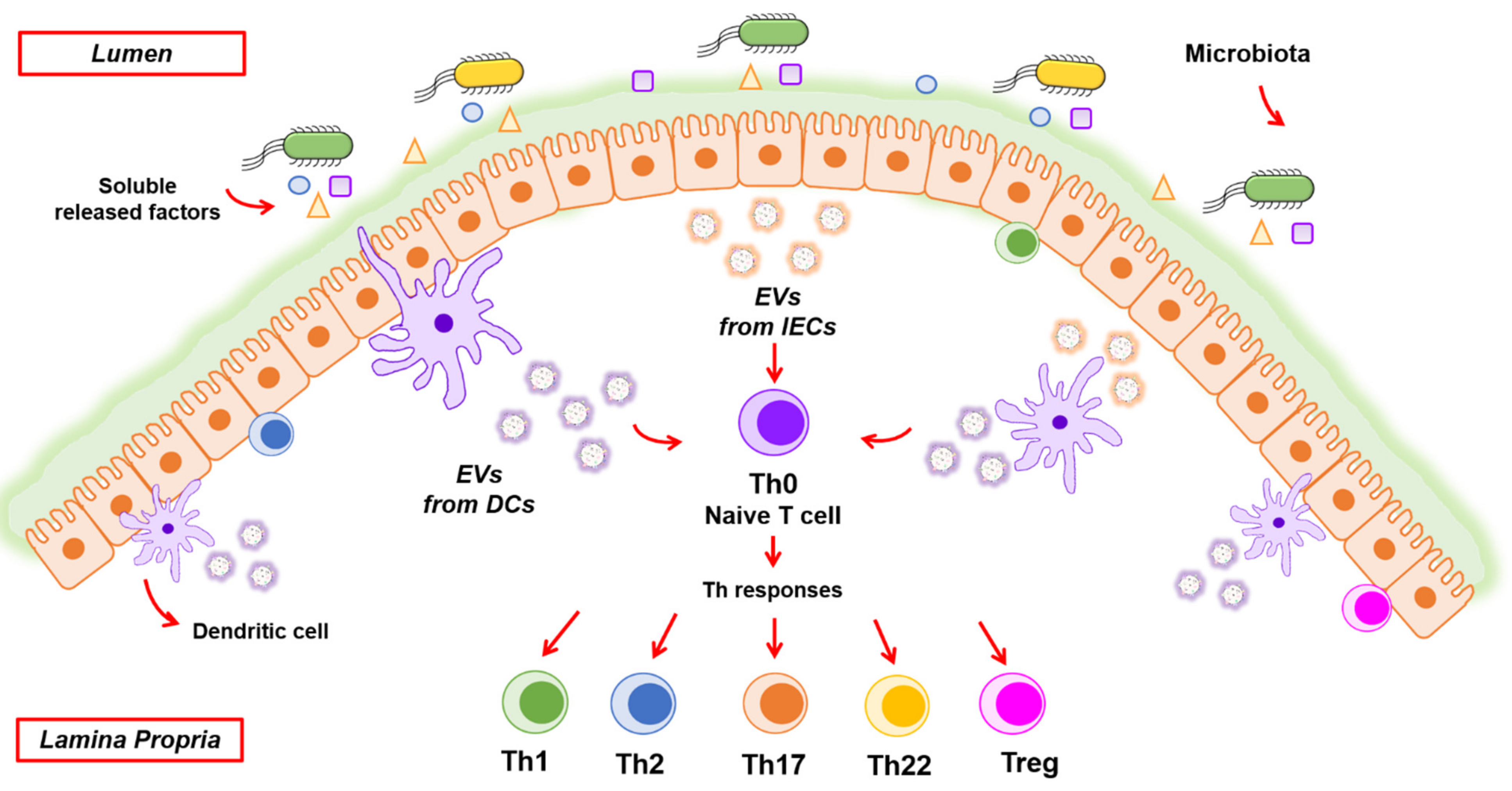 Ijms 22 02213 g002 Ijms 22 02213 g002