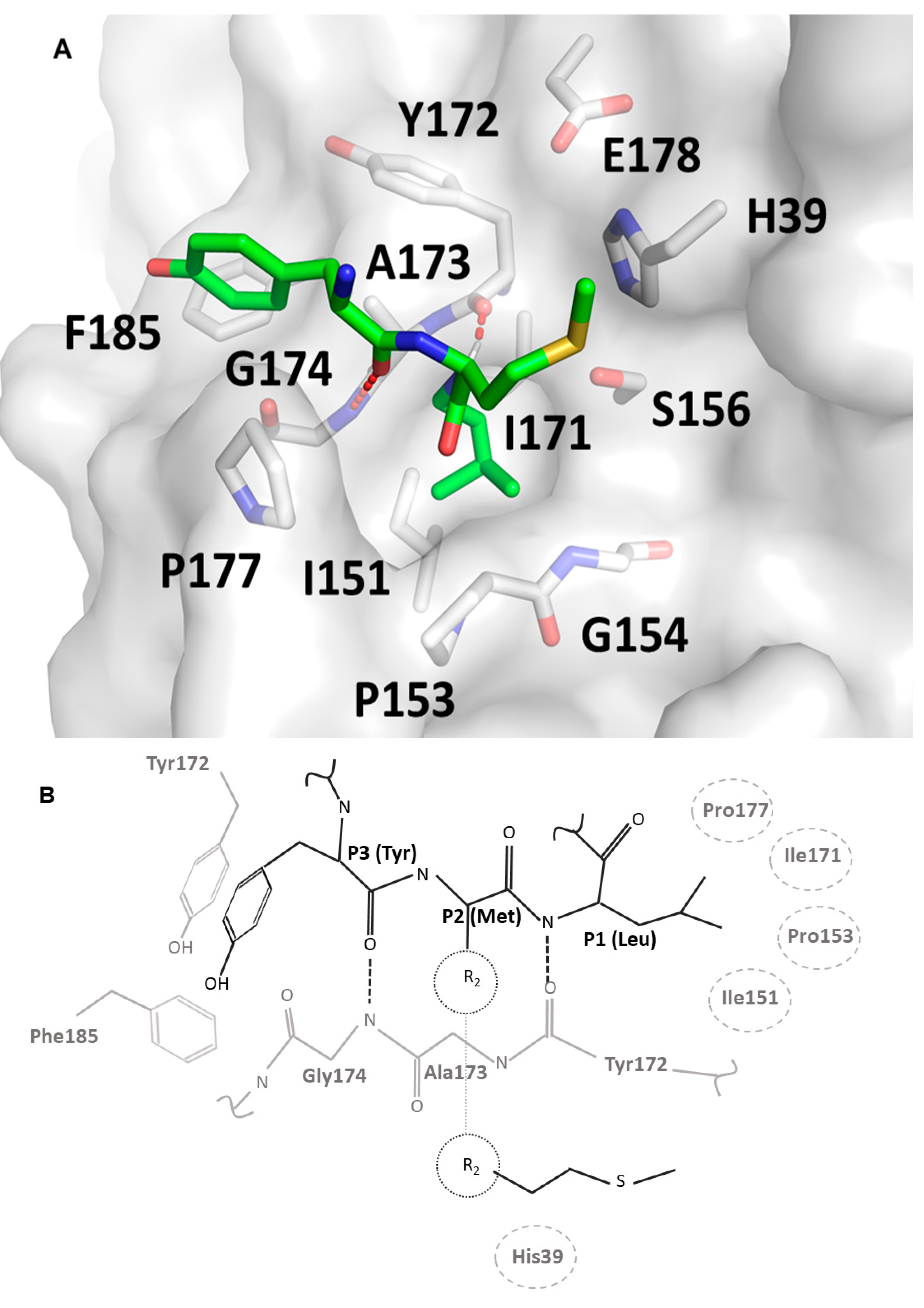 Ijms 22 02220 g003 550