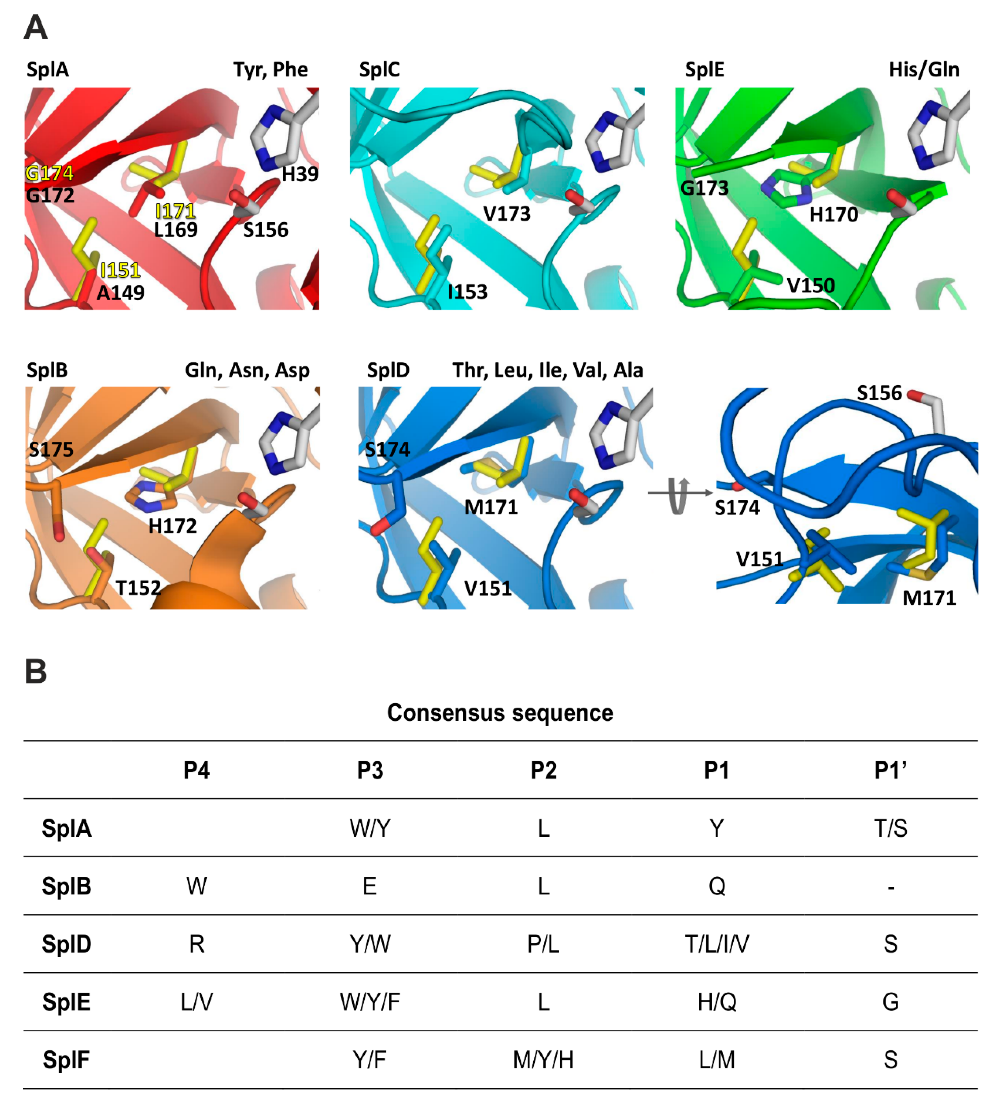 Ijms 22 02220 g004 550