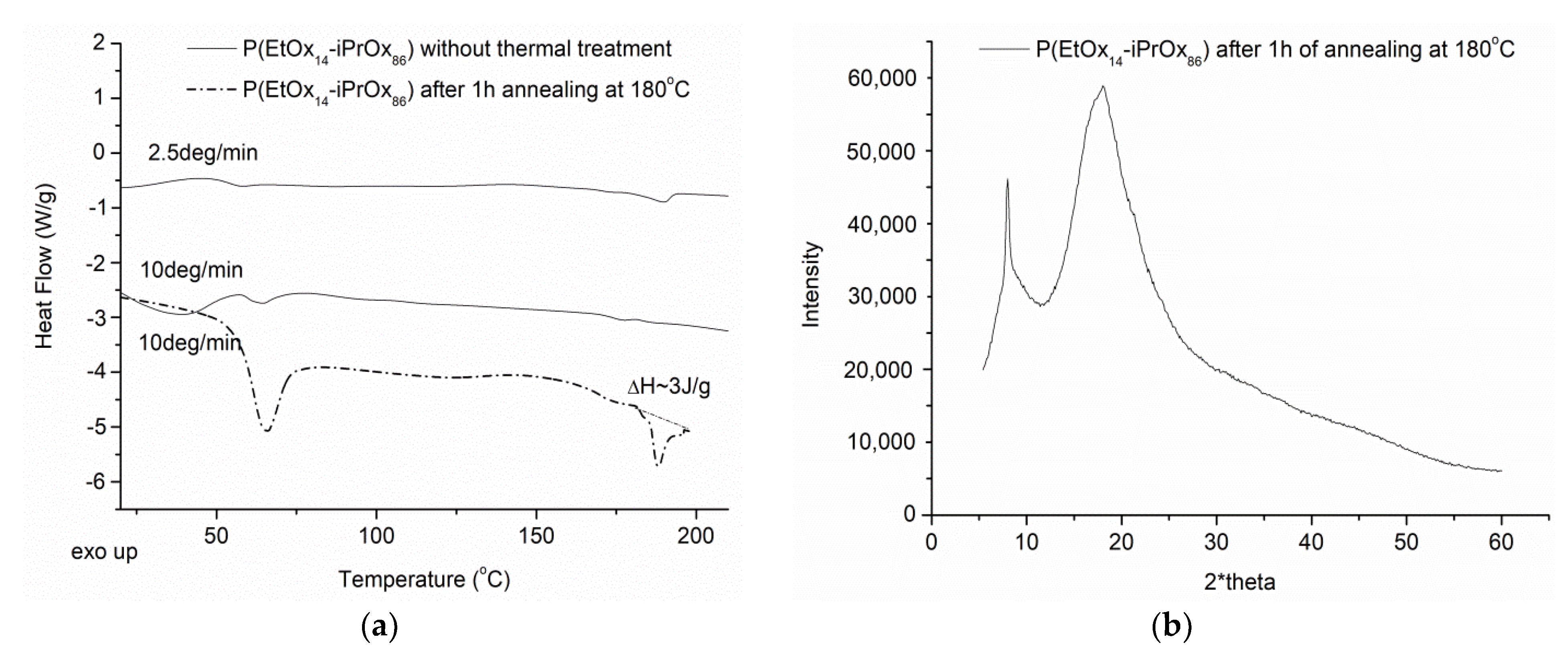 Ijms 22 02221 g006 Ijms 22 02221 g006