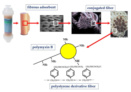 Ijms 22 02228 g001 550