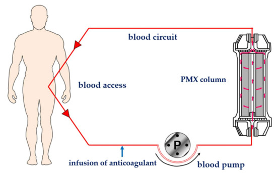 Ijms 22 02228 g002 550