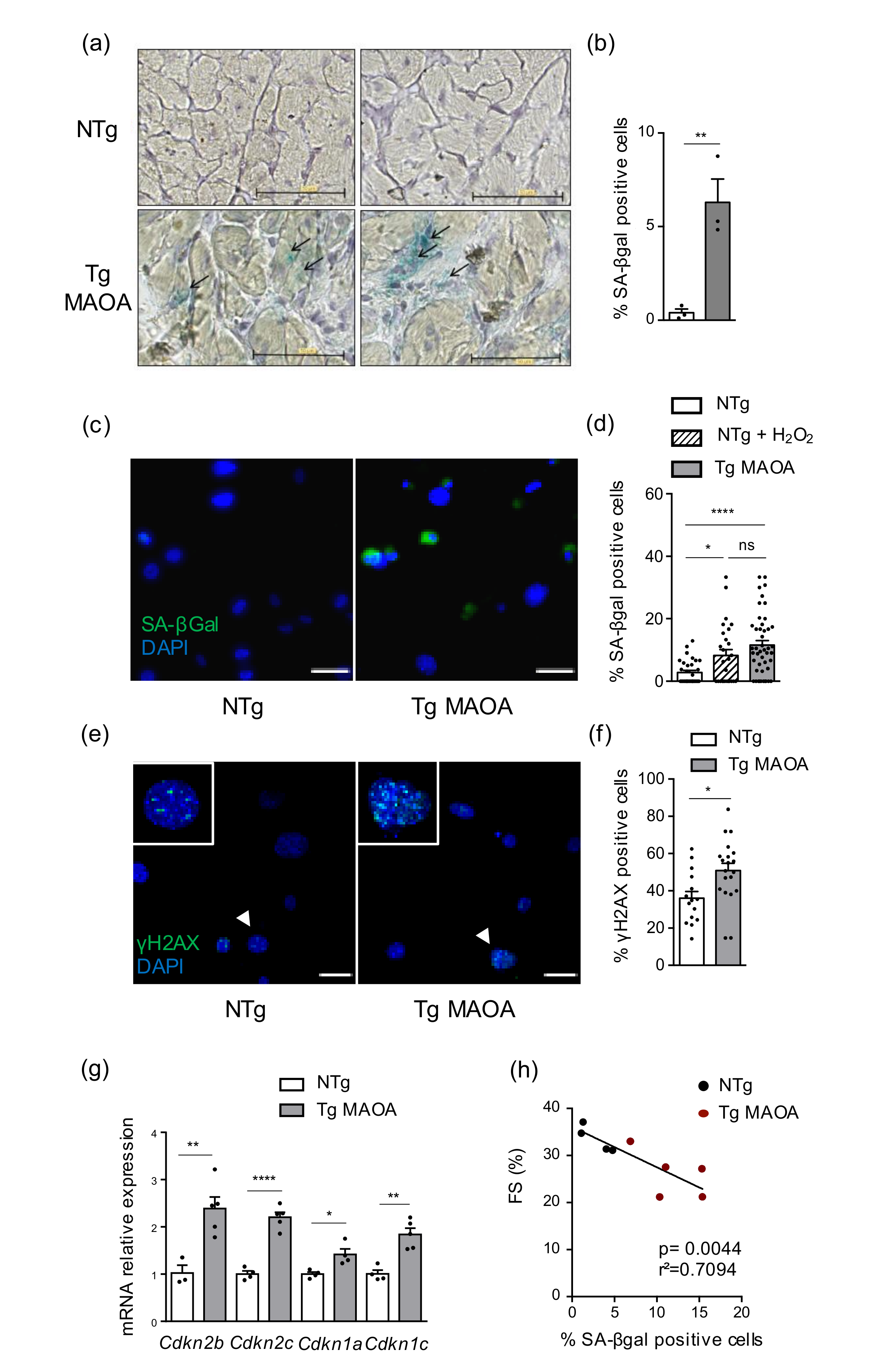 Ijms 22 02245 g001 Ijms 22 02245 g001