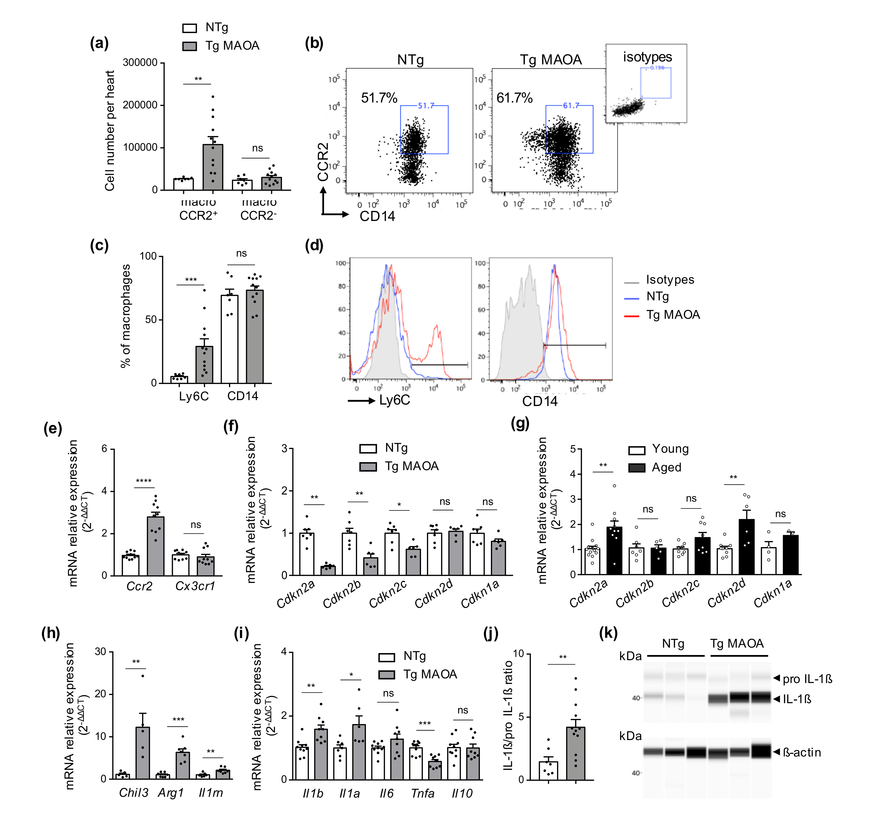Ijms 22 02245 g004 Ijms 22 02245 g004