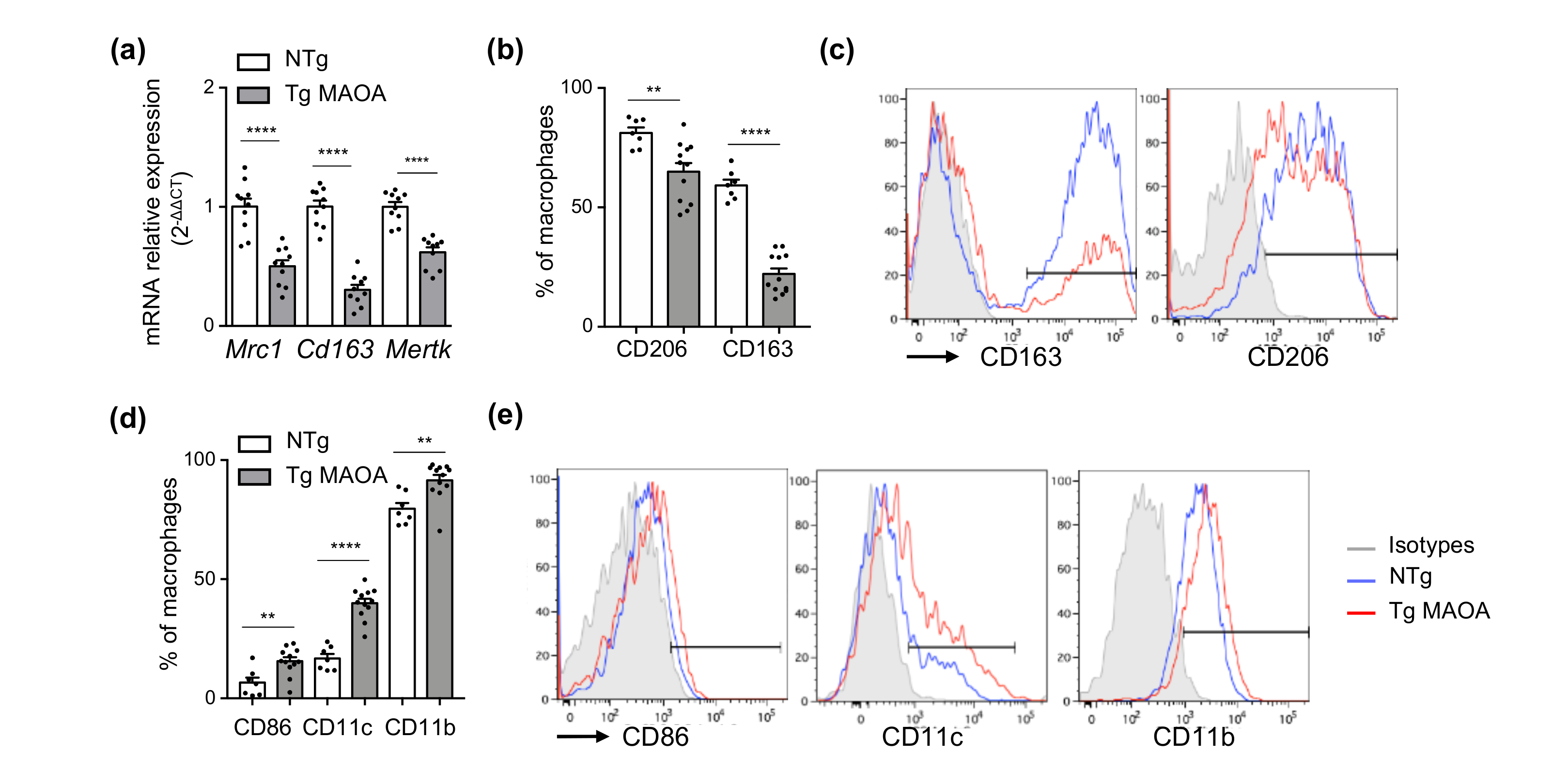 Ijms 22 02245 g005 Ijms 22 02245 g005