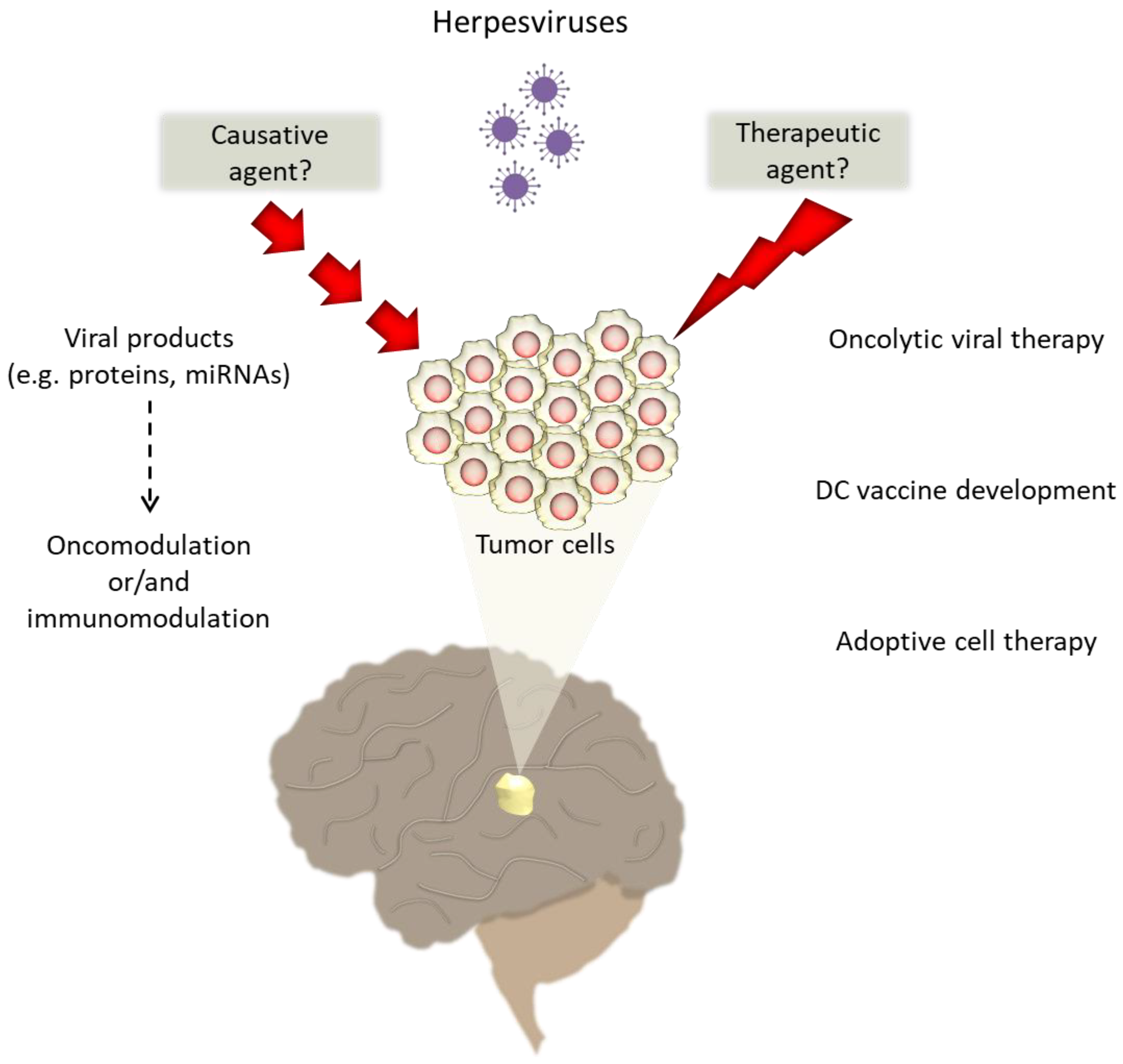 brain cancer cell