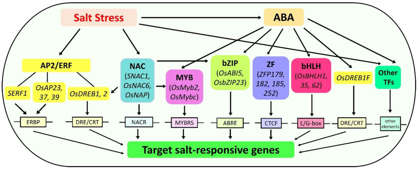 Ijms 22 02254 g002 Ijms 22 02254 g002