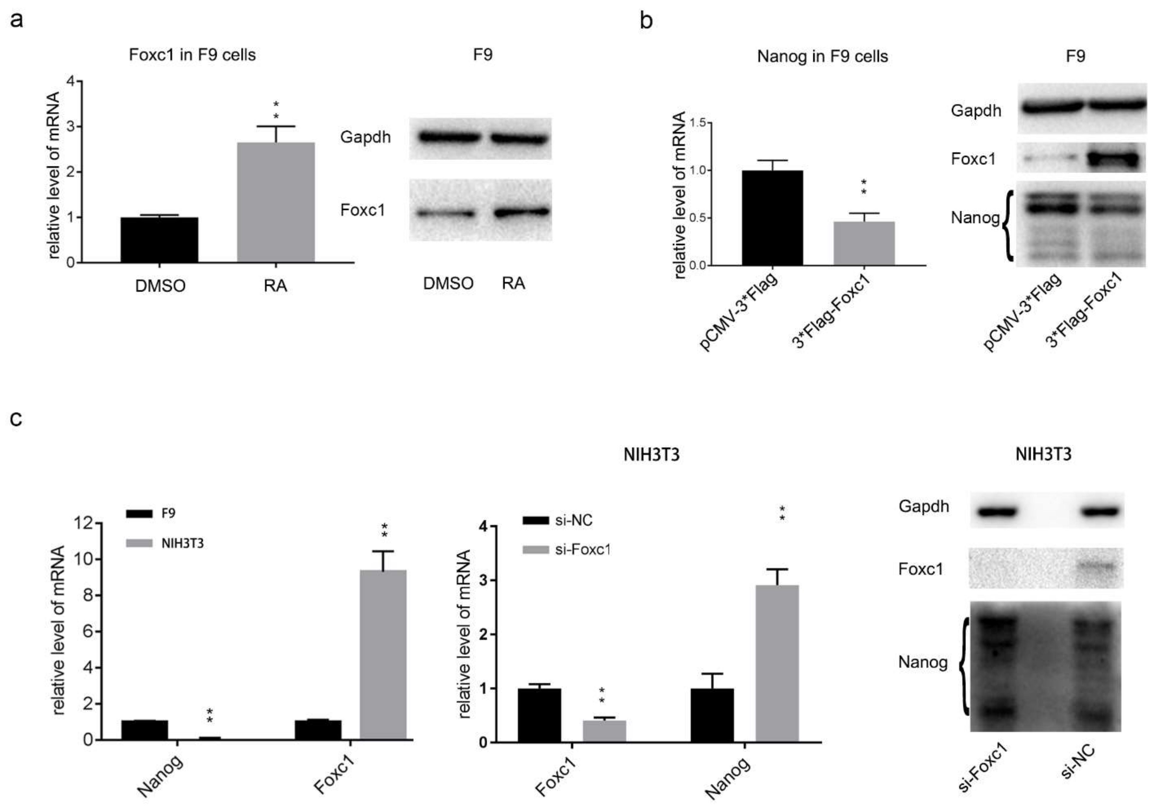 Ijms 22 02255 g001 Ijms 22 02255 g001