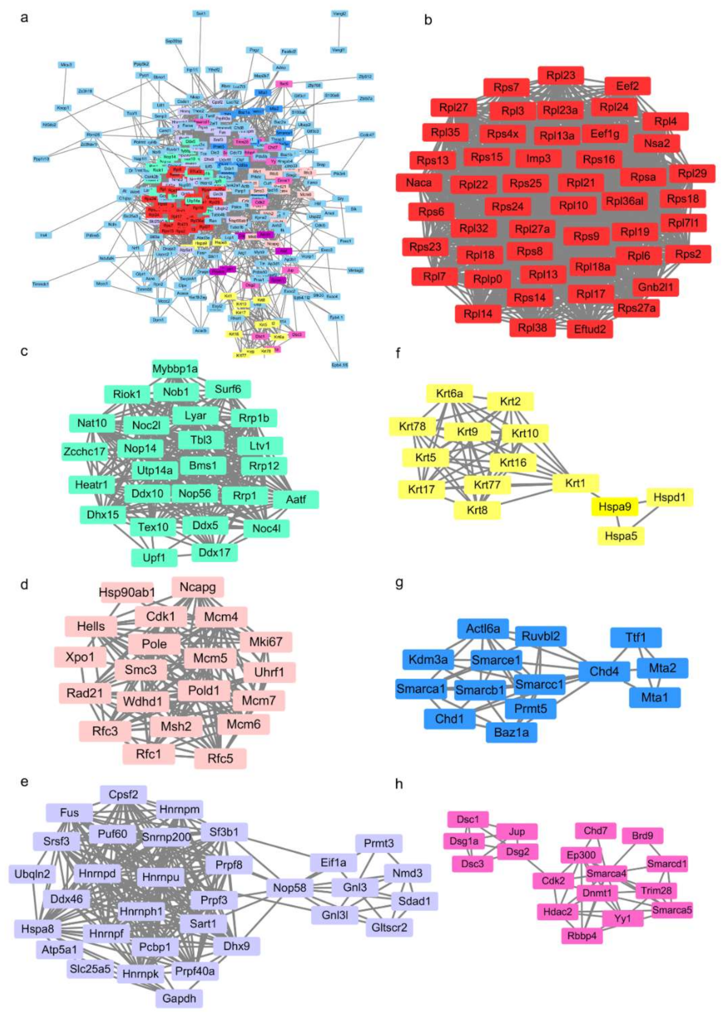 Ijms 22 02255 g004 Ijms 22 02255 g004