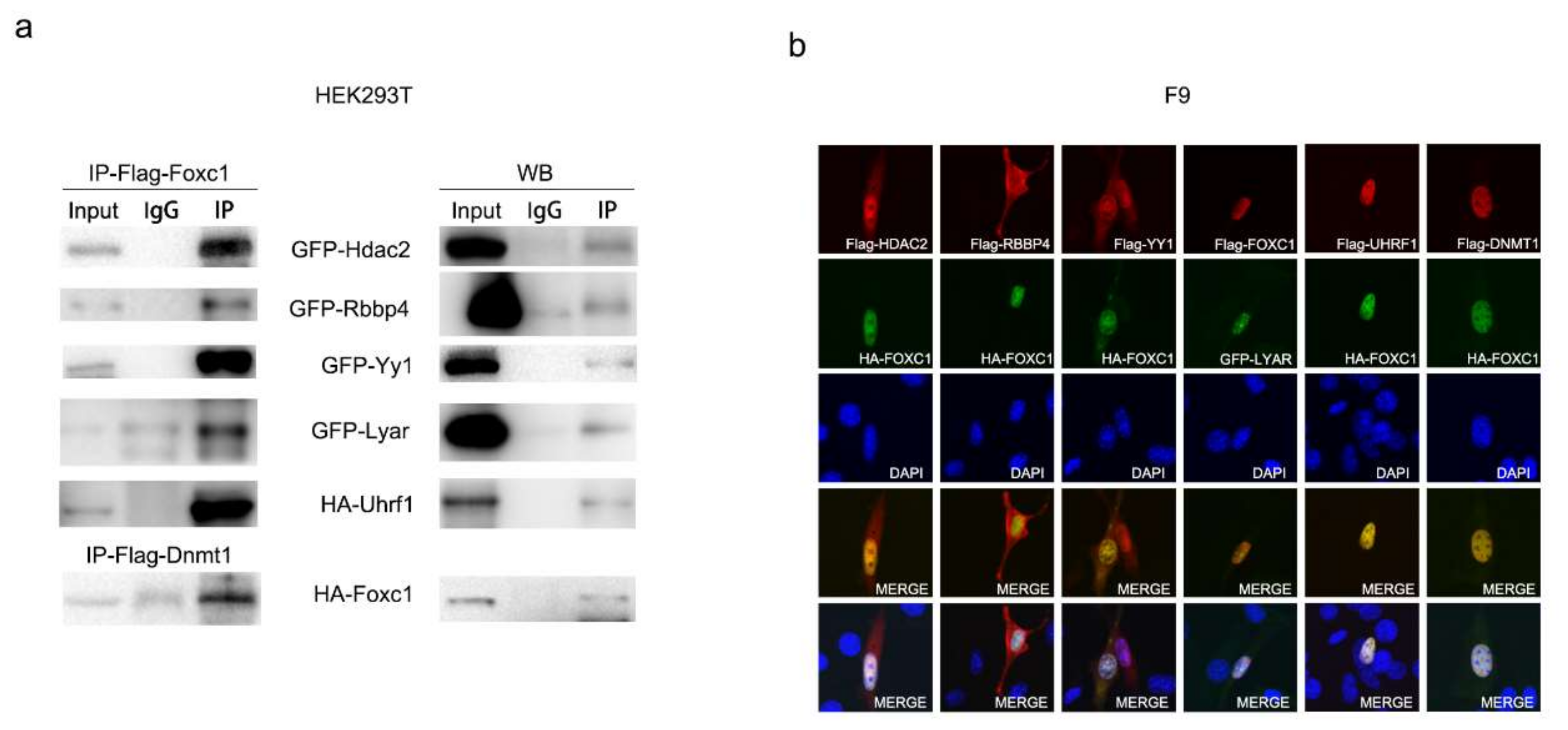 Ijms 22 02255 g005 Ijms 22 02255 g005