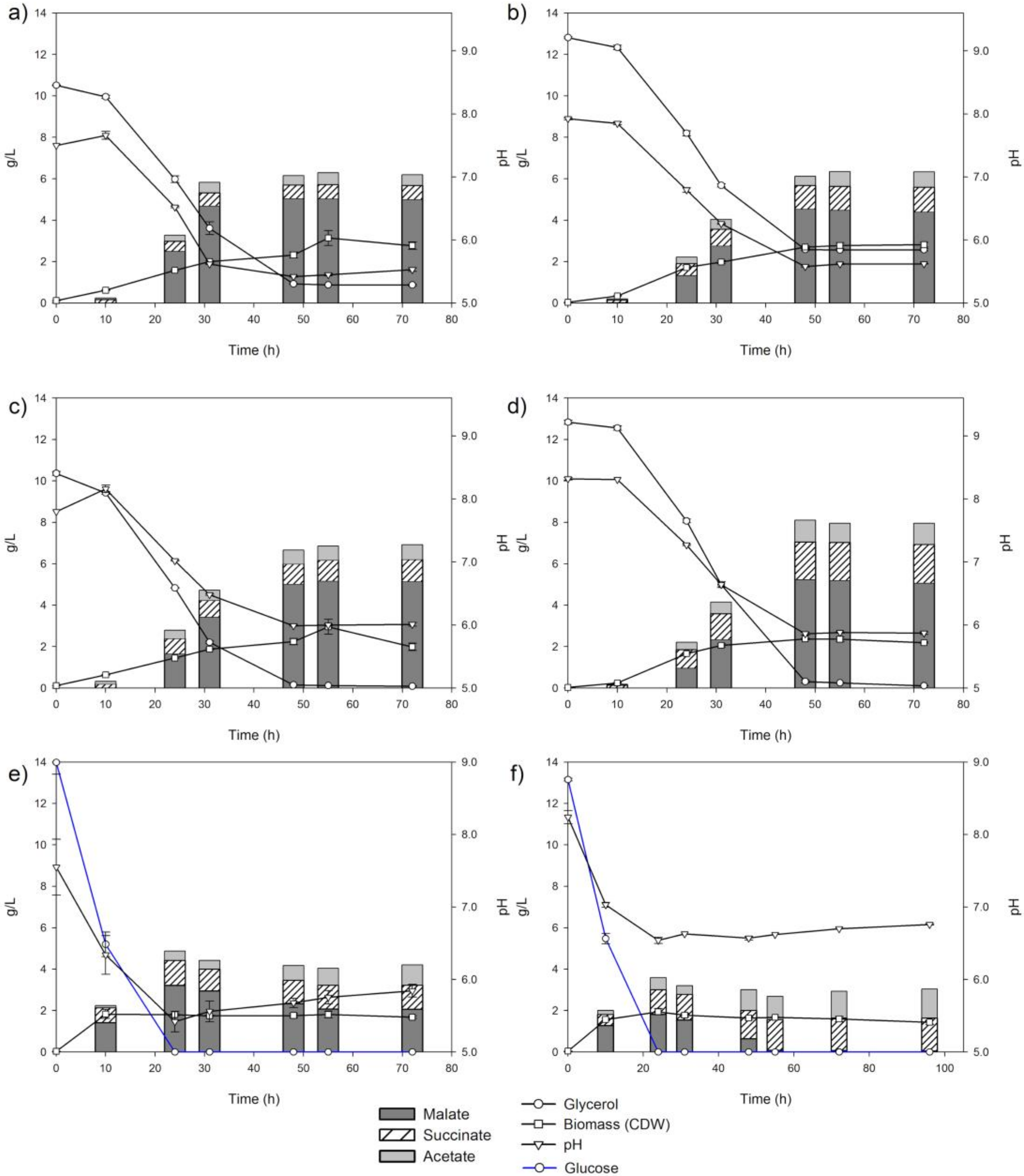 Ijms 22 02266 g004 Ijms 22 02266 g004