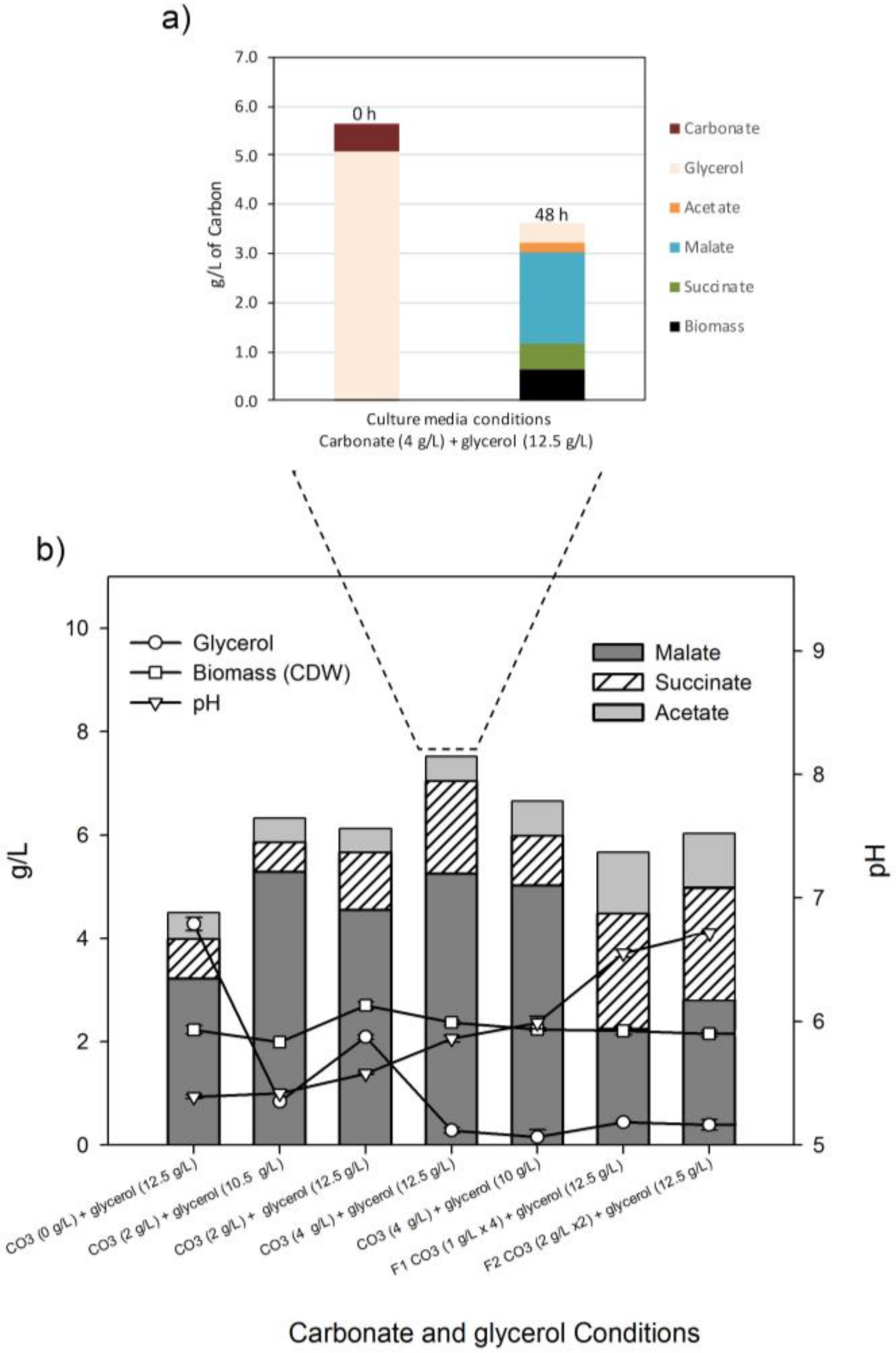 Ijms 22 02266 g005 Ijms 22 02266 g005