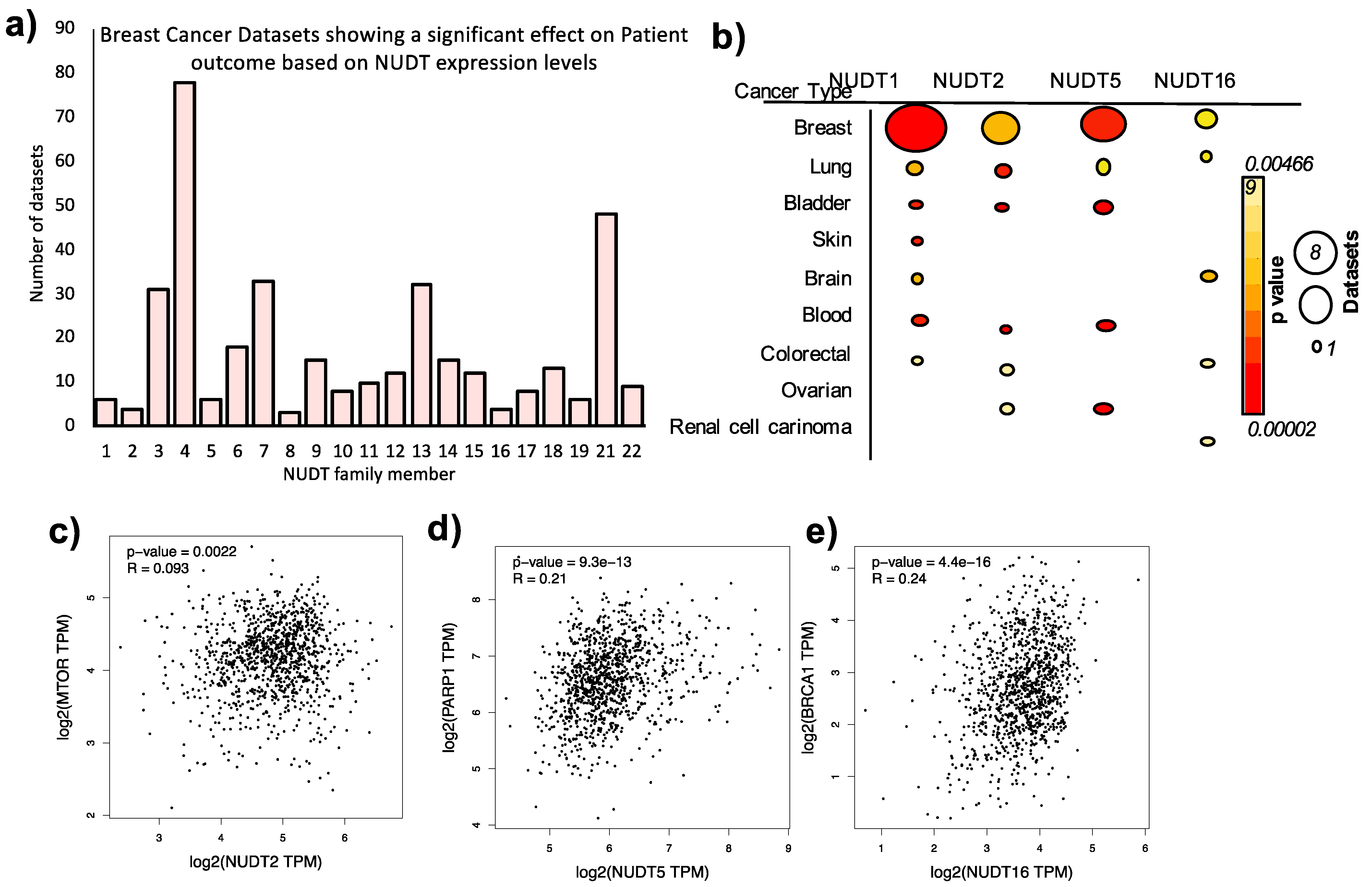 Ijms 22 02267 g002 Ijms 22 02267 g002