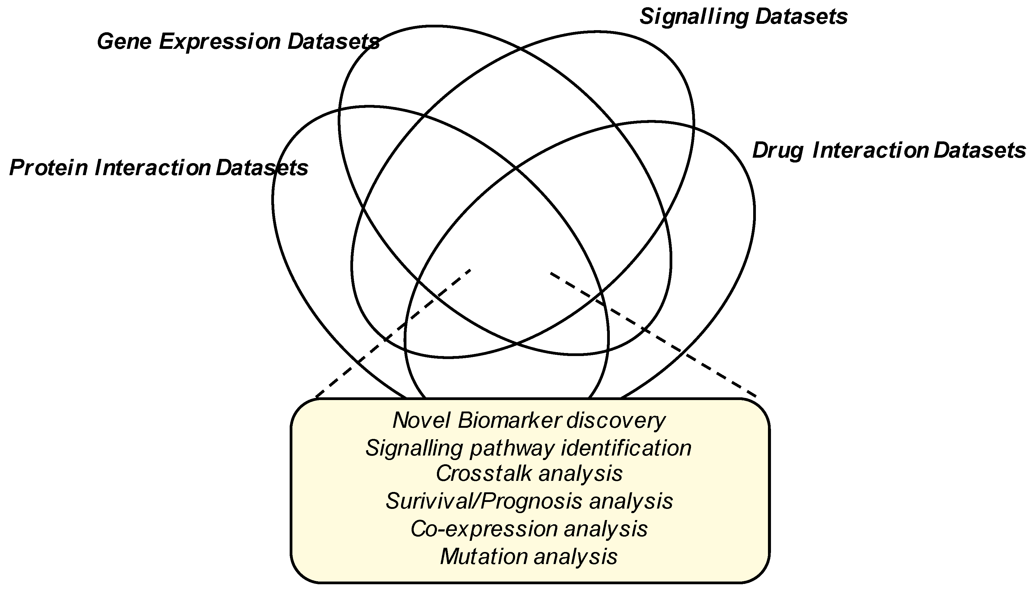 Ijms 22 02267 g004 Ijms 22 02267 g004